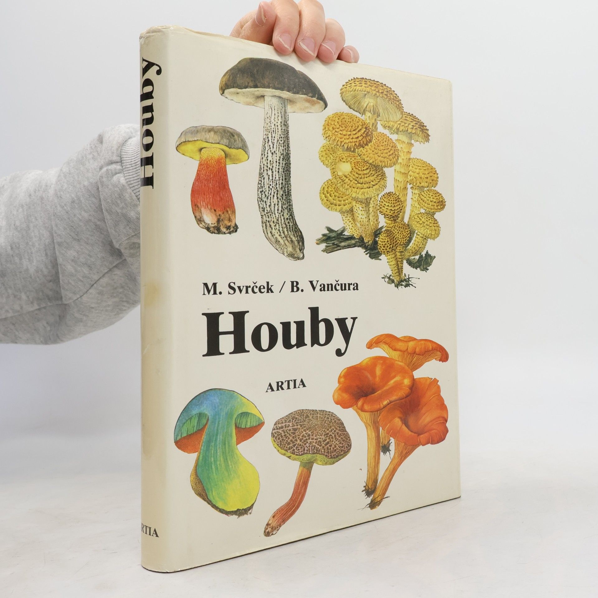 Houby