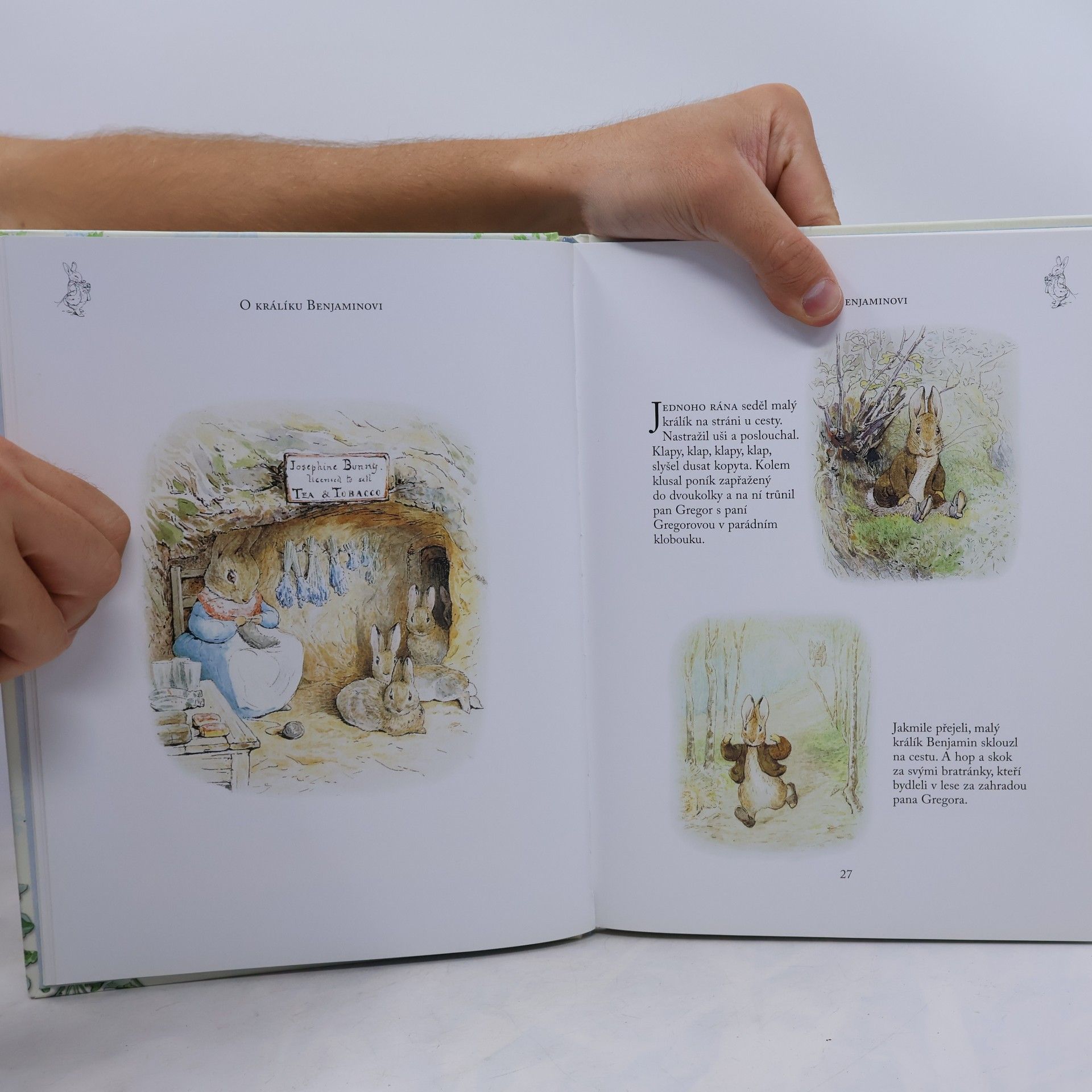 Beatrix Potter Dobrodružství králíčka Petra