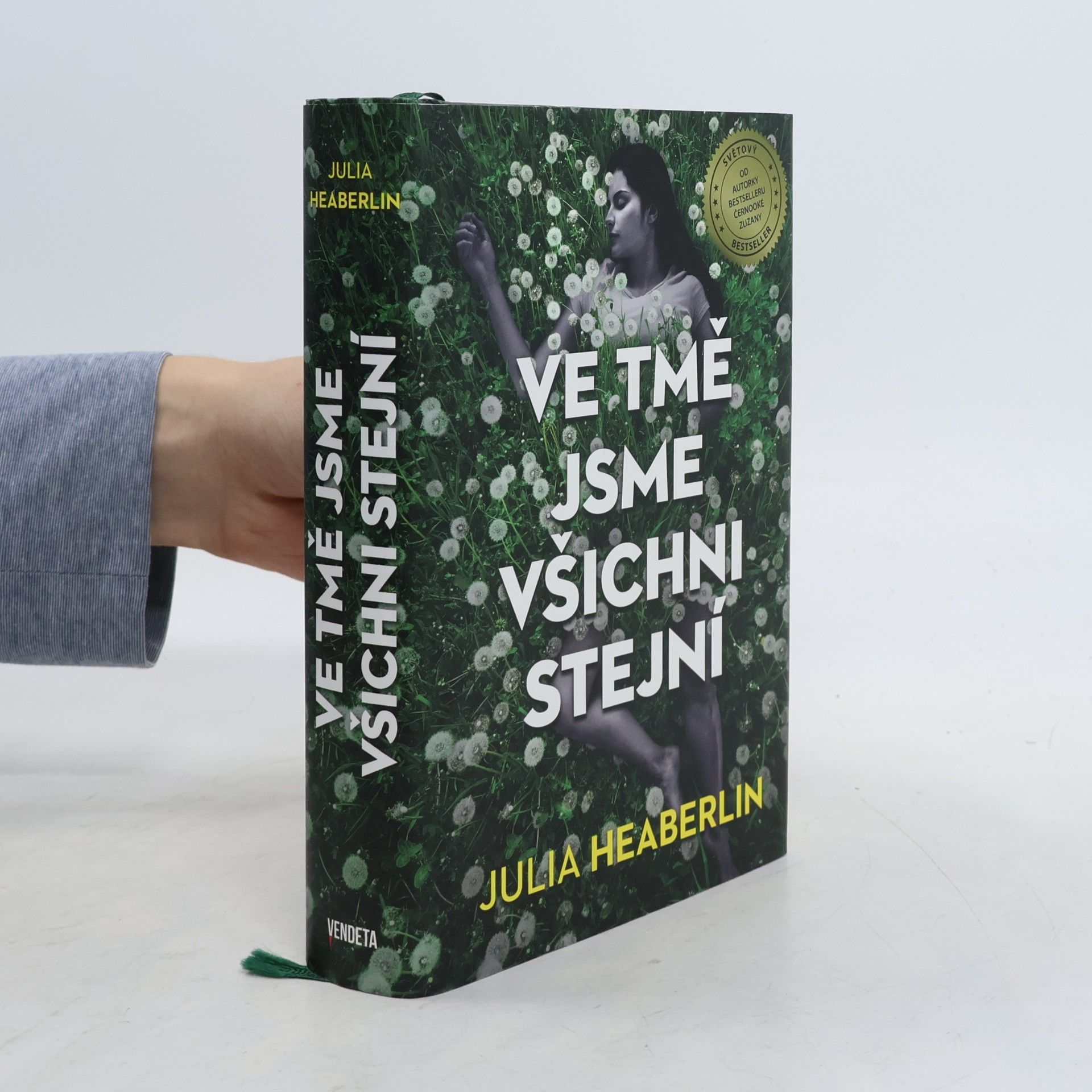 Julia Heaberlin Ve tmě jsme všichni stejní