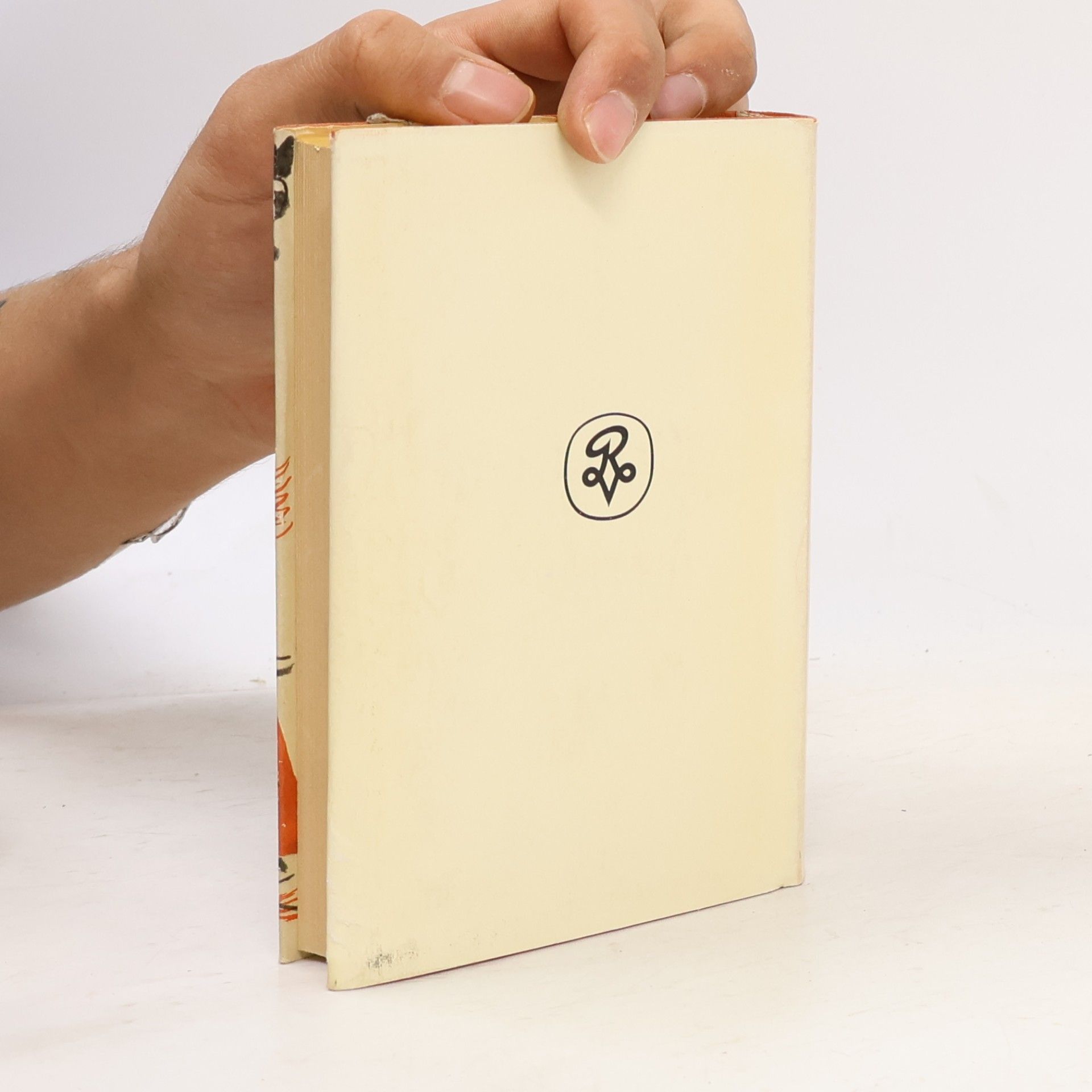 Collectif d'auteurs Die schönsten Novellen der italienischen Renaissance
