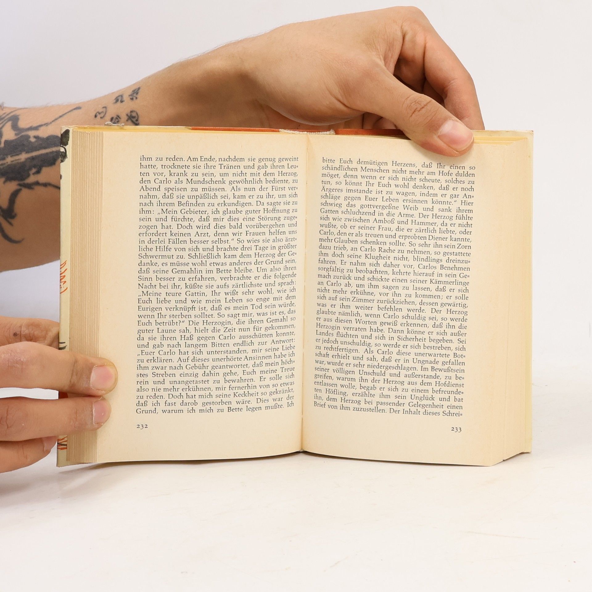 Collectif d'auteurs Die schönsten Novellen der italienischen Renaissance