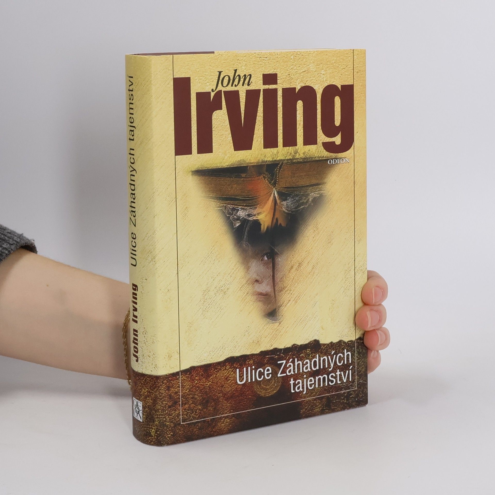 John Irving Ulice Záhadných tajemství