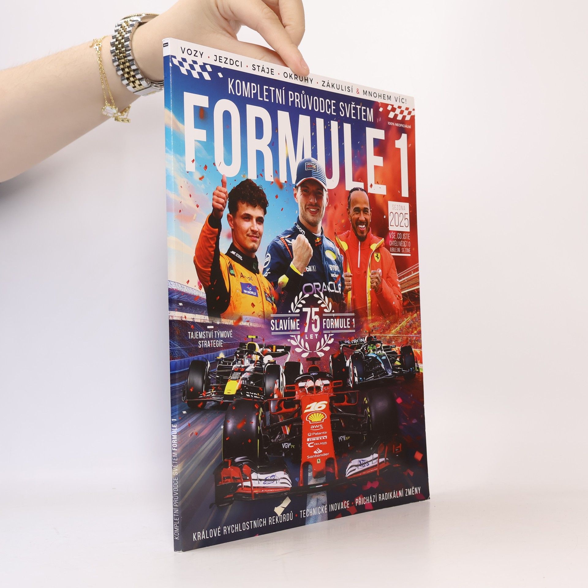 Kolektiv autorů Kompletní průvodce světem Formule 1