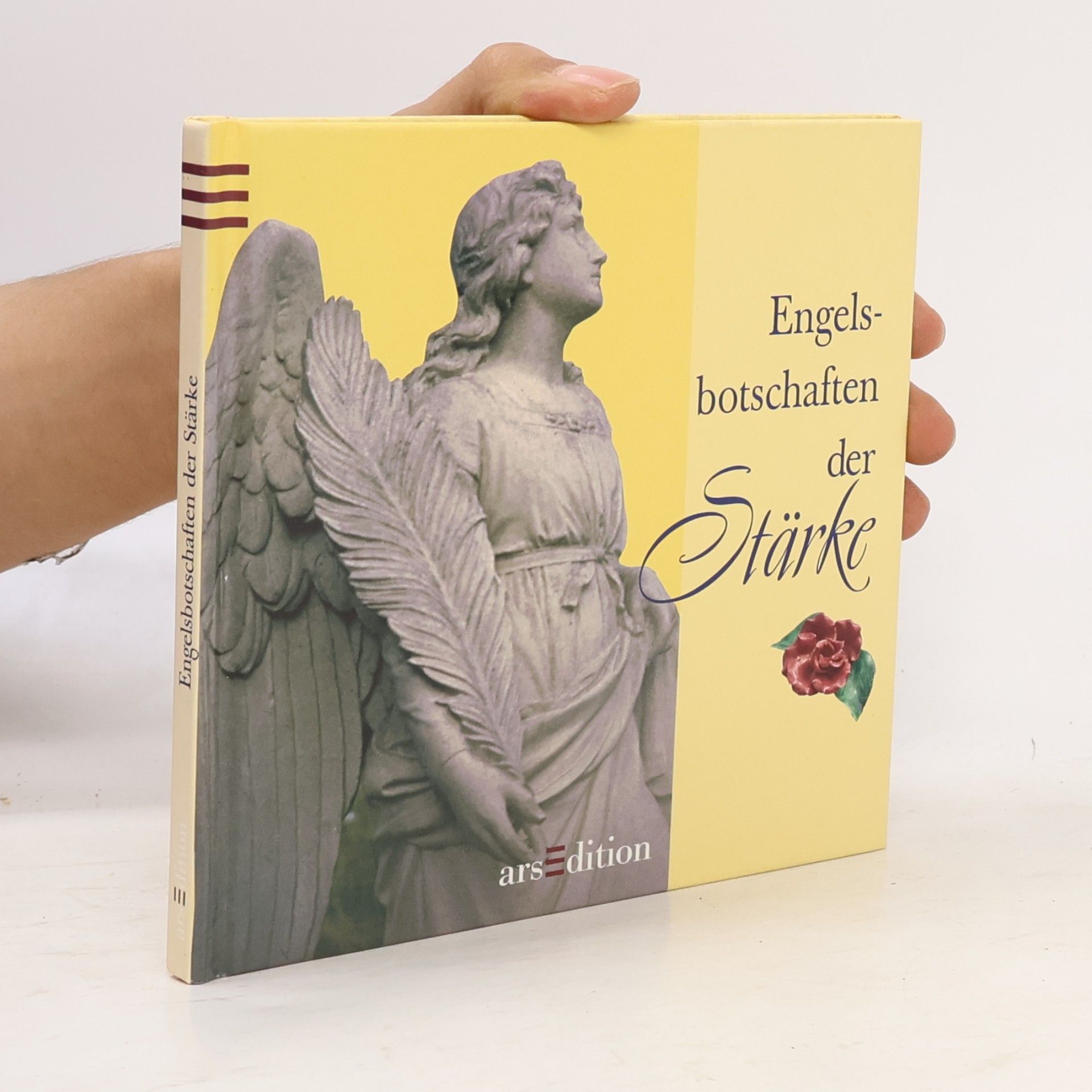 Various authors Engelsbotschaften der Stärke