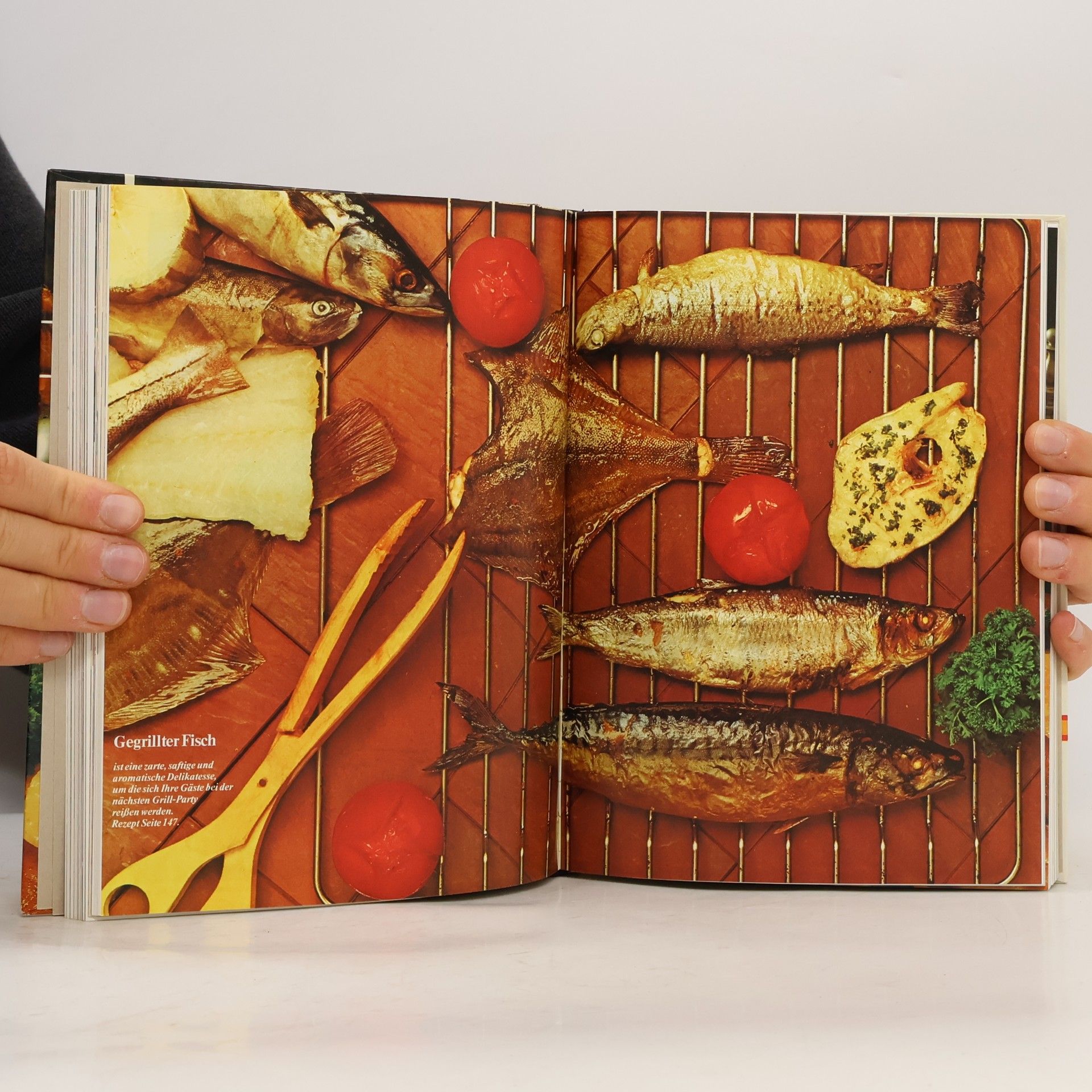 Kolektiv autorů Menu.
