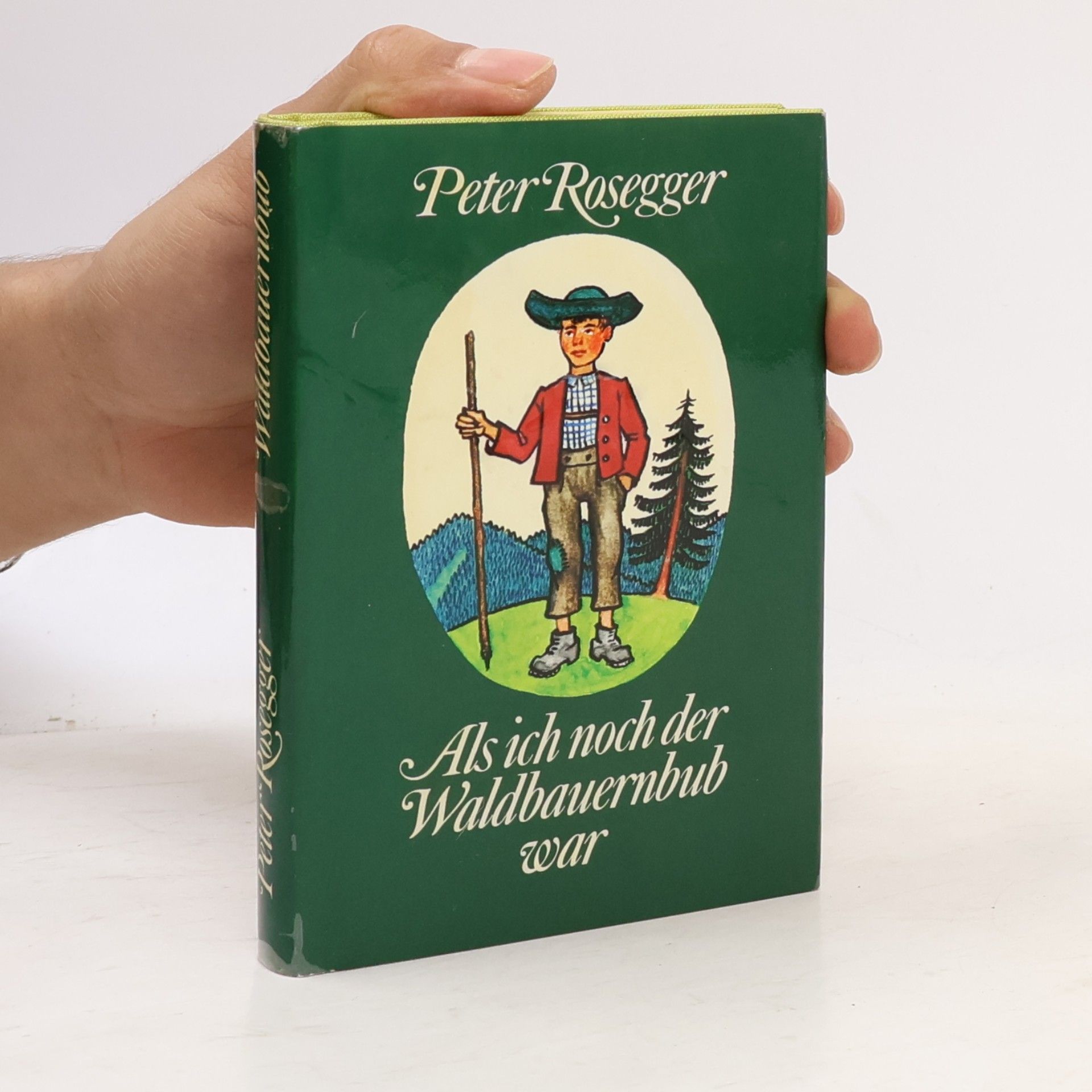 Peter Rosegger Als ich noch der Waldbauernbub war