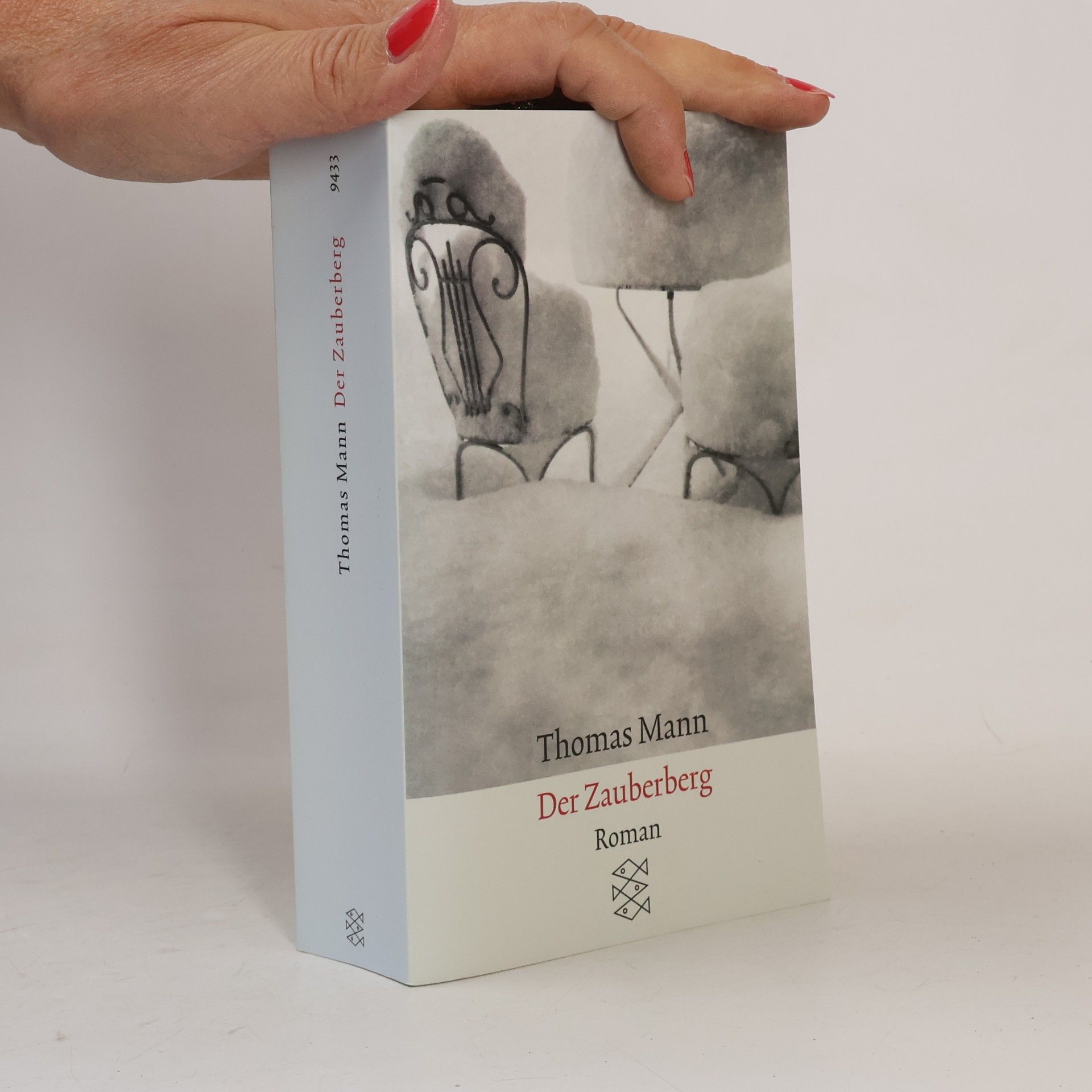 Thomas Mann Der Zauberberg