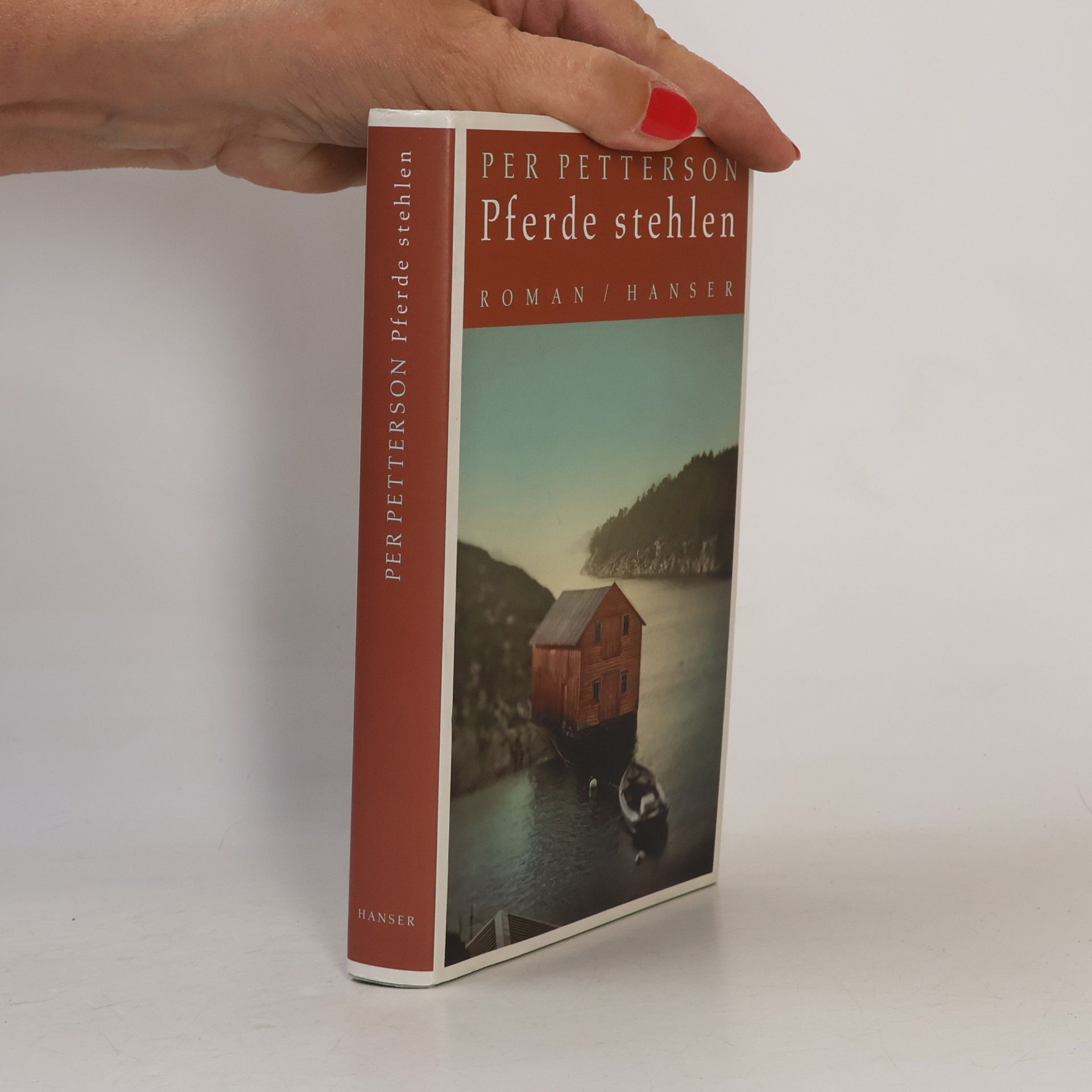 Per Petterson Pferde stehlen