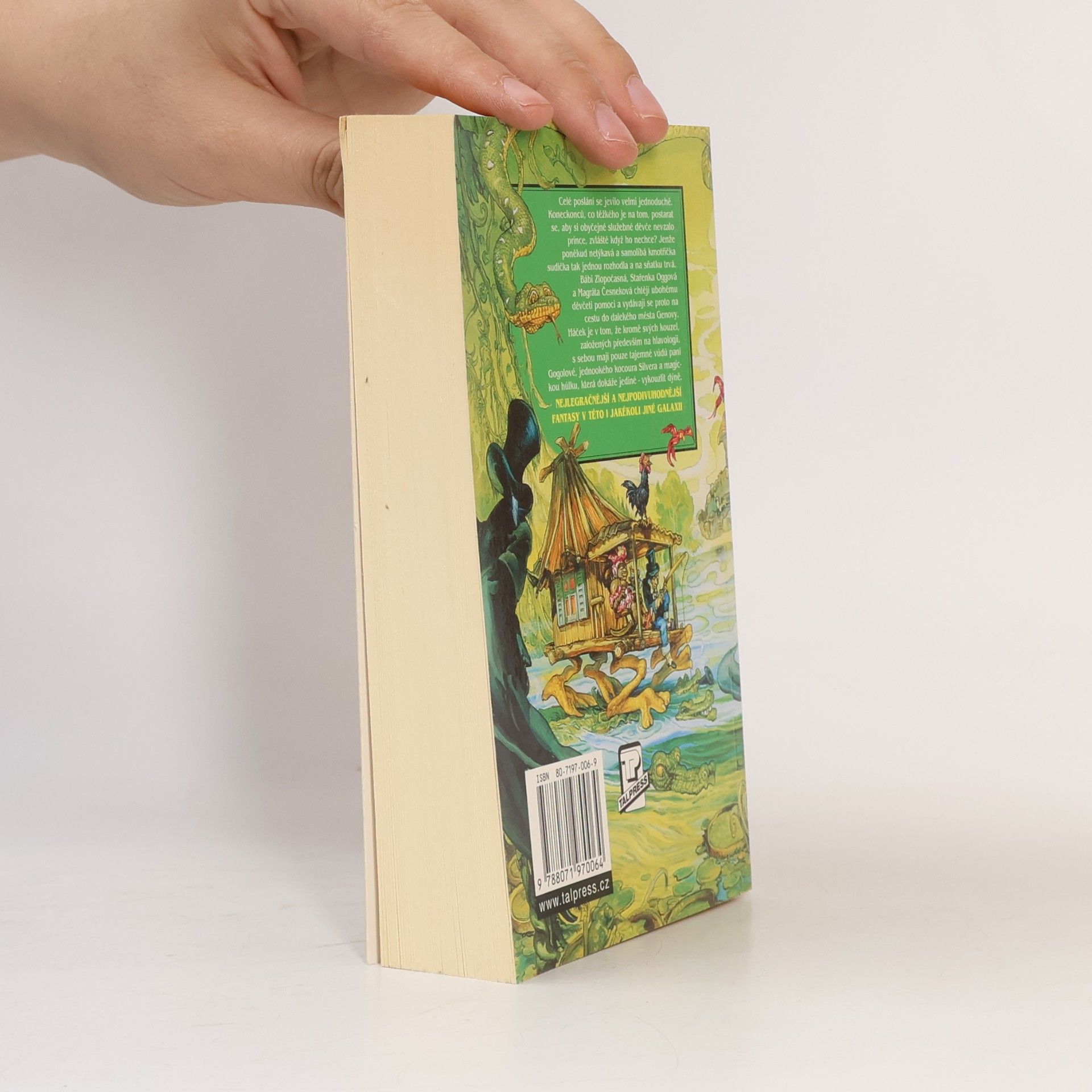 Terry Pratchett Čarodějky na cestách