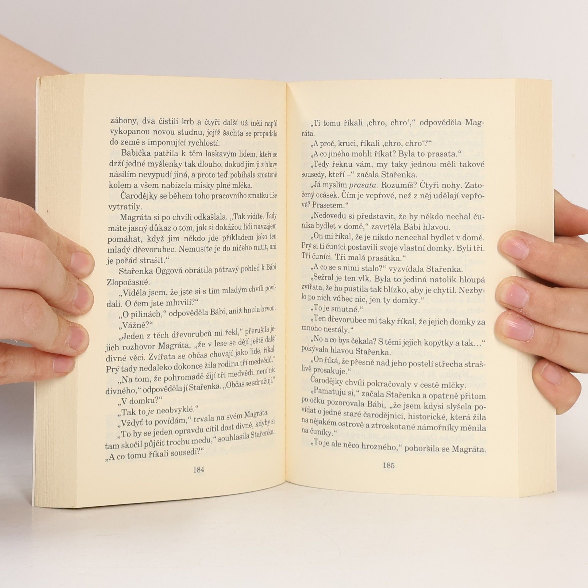 Terry Pratchett Čarodějky na cestách