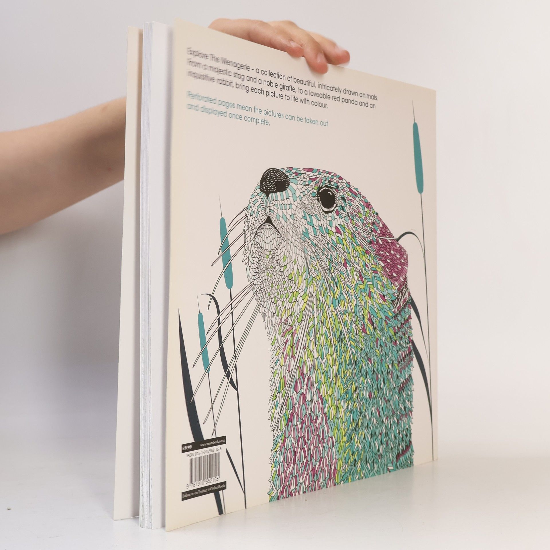 Claire Scully The Menagerie