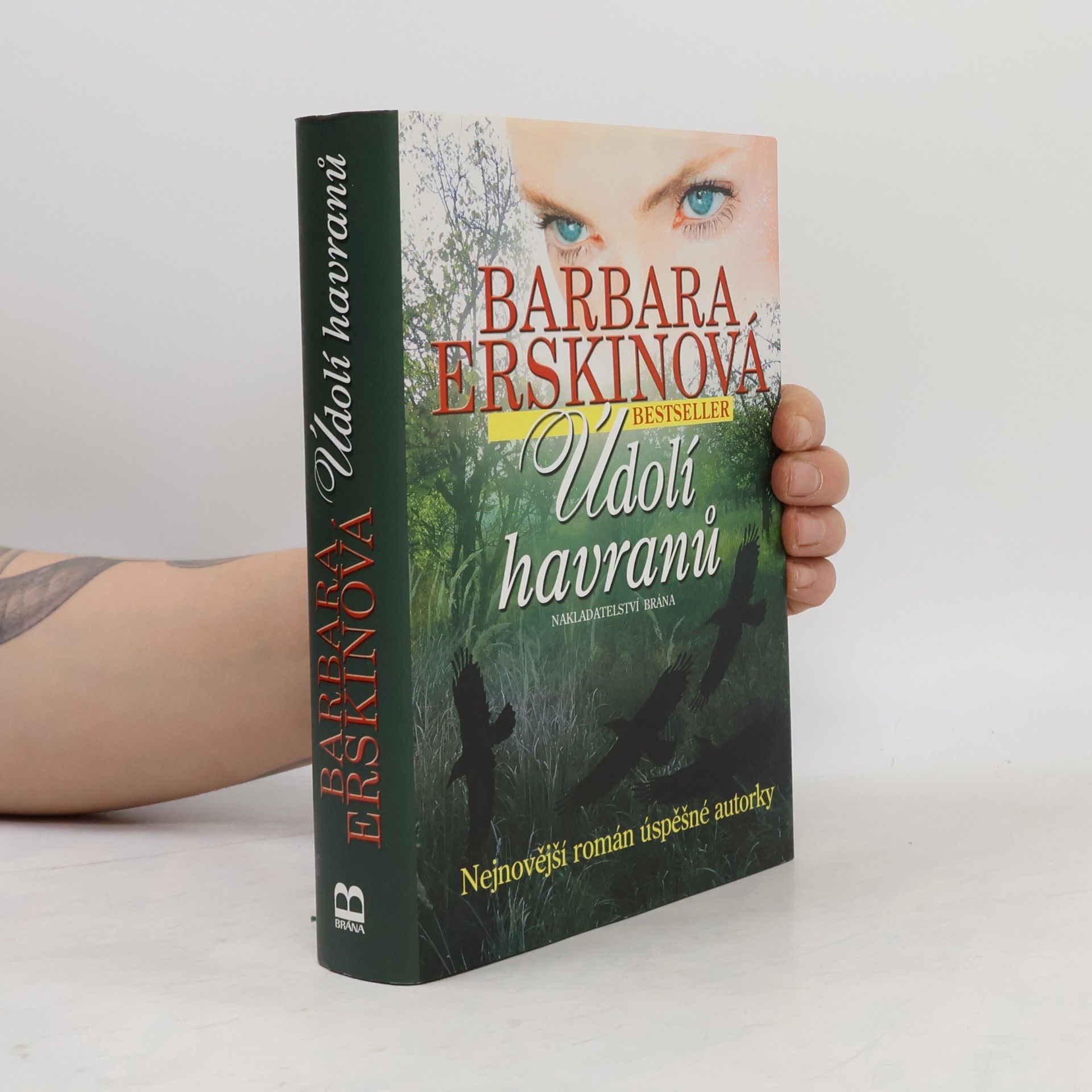 Barbara Erskinová Údolí havranů