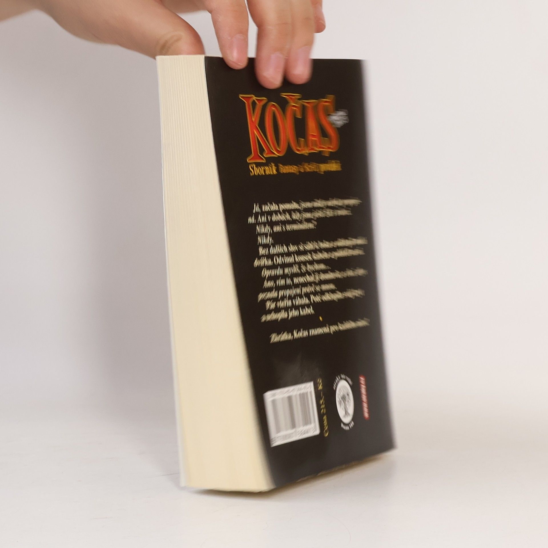 Kolektiv autorů Kočas 2013, sborník SF a fantasy povídek k Parconu 2013