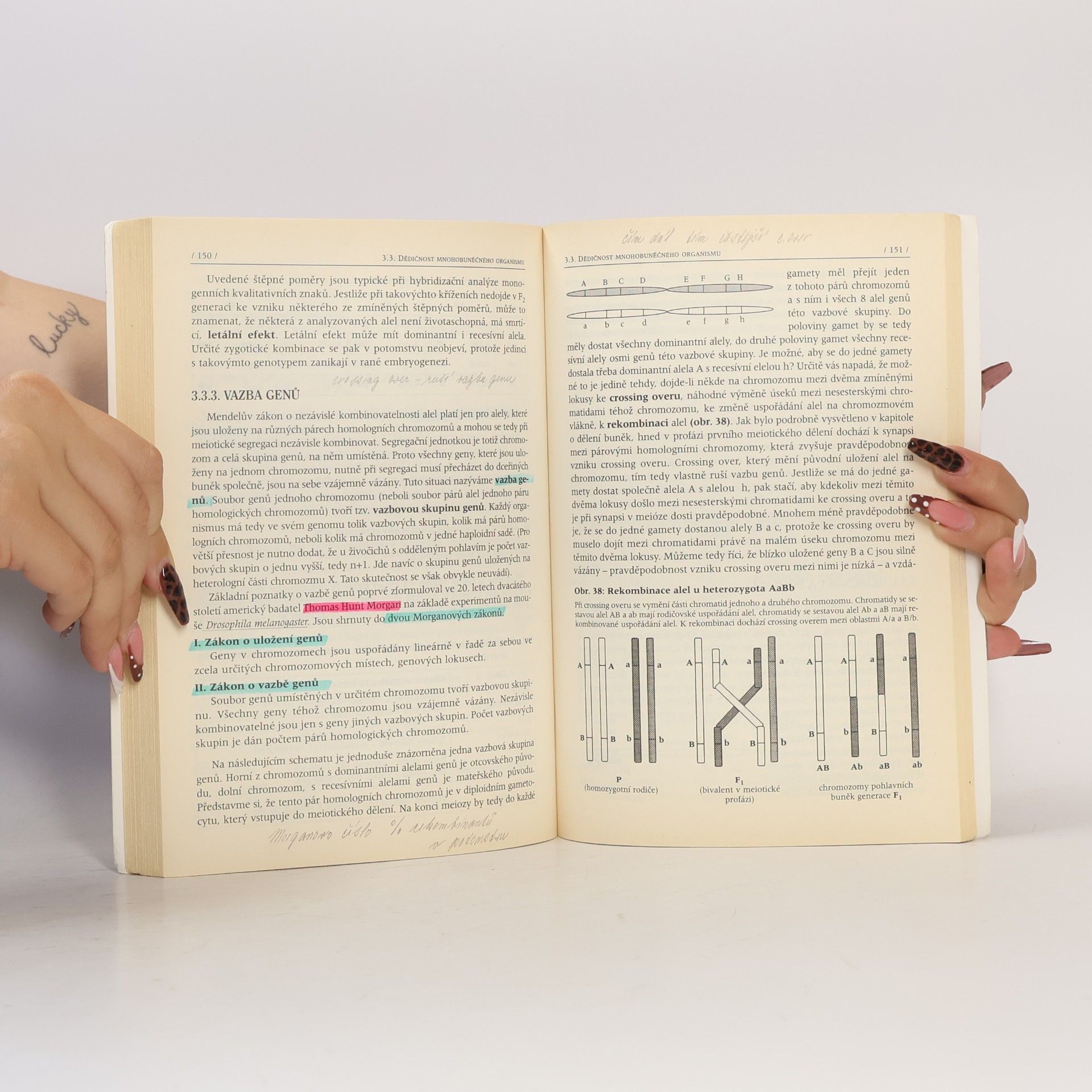 Vlastimila Chalupová Karlovská Obecná biologie : evoluce, biologie buňky, genetika : s 558 řešenými testovými otázkami