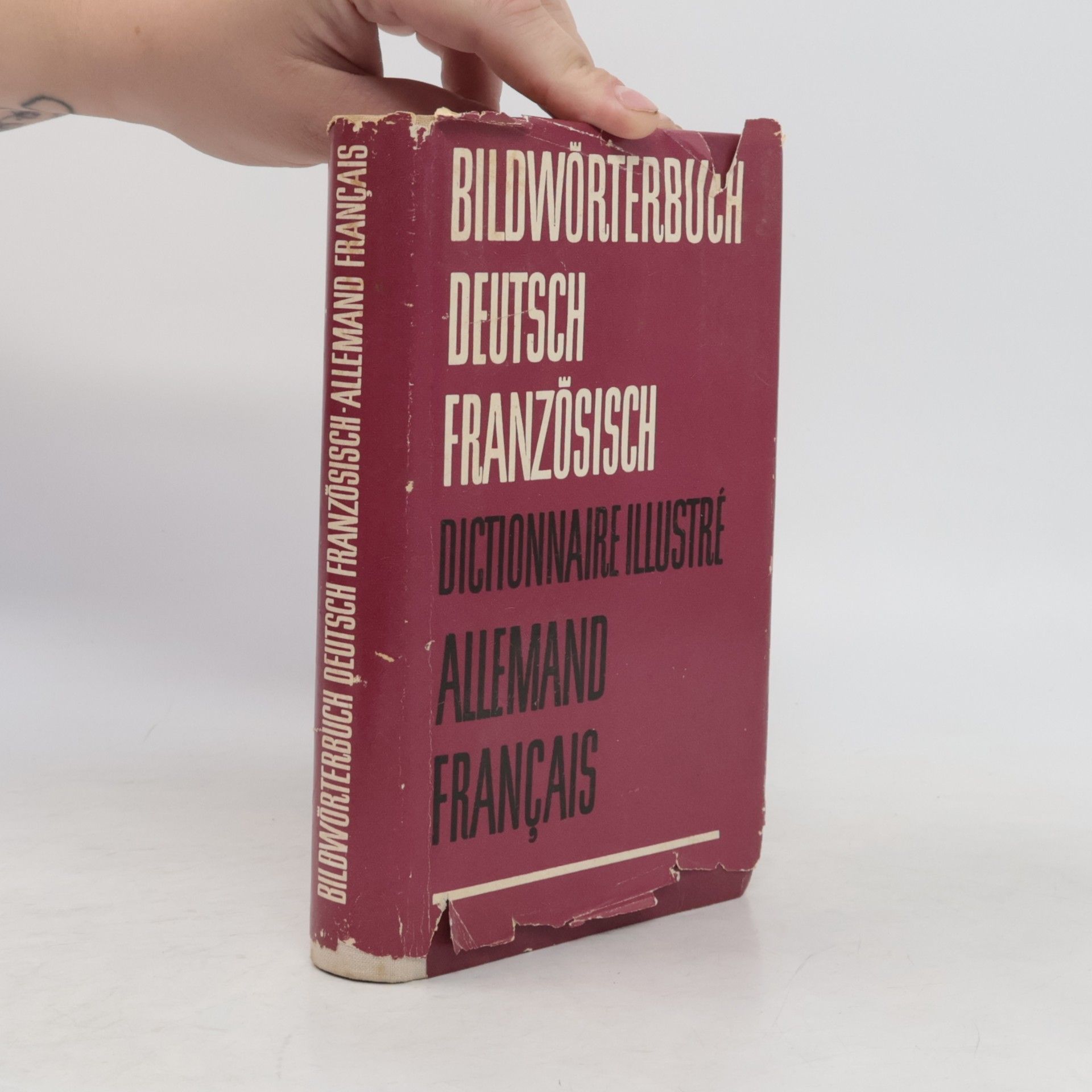 Kolektív autorov Bildwörterbuch Deutsch Französisch