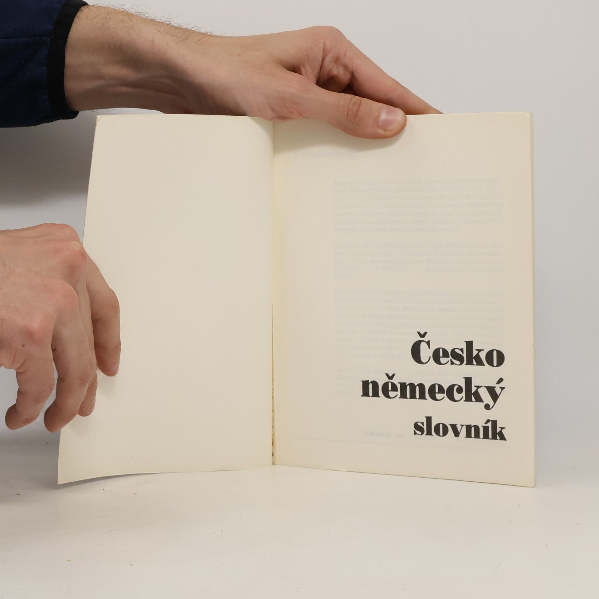 AA.VV. Česko německý slovník
