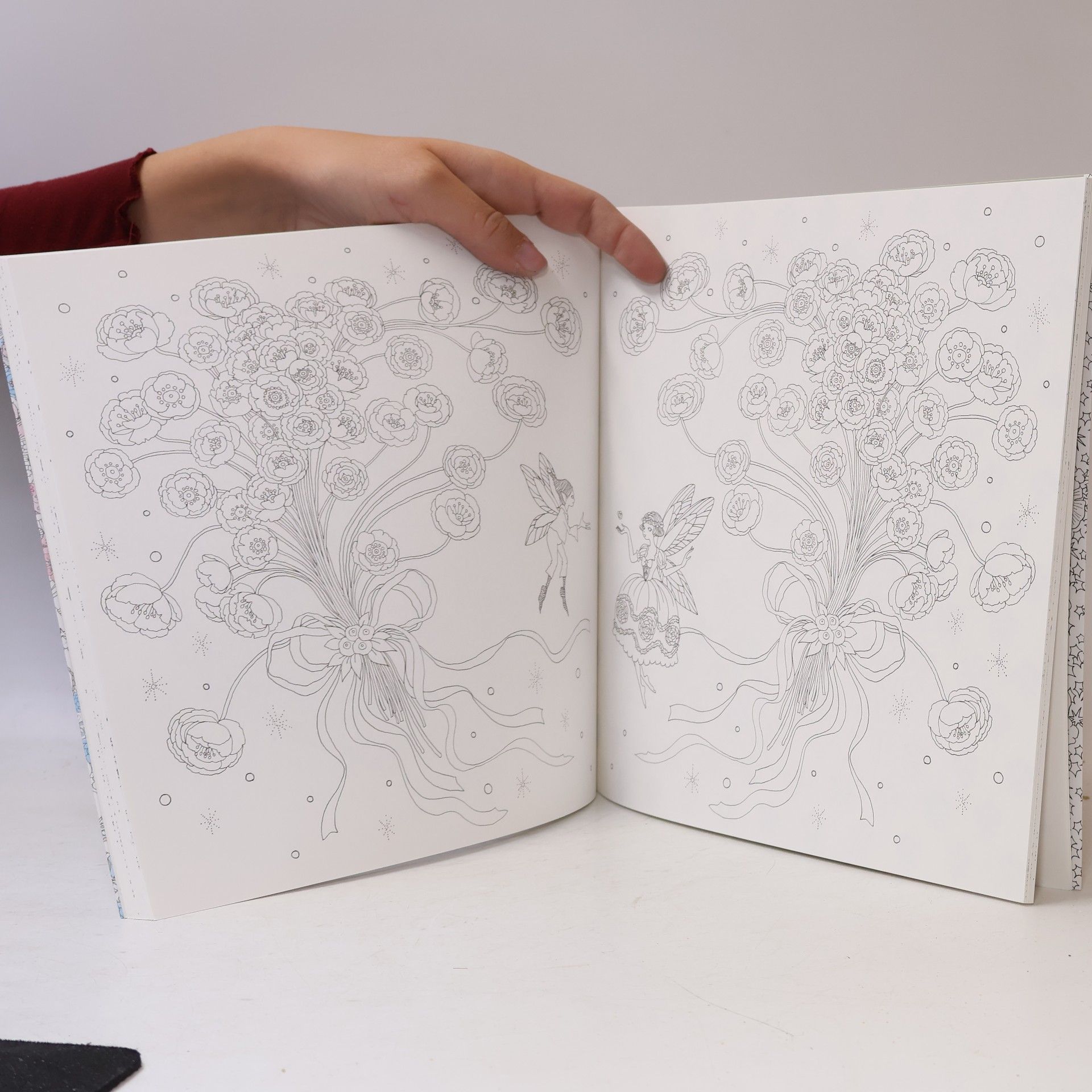 Tomoko Tashiro Fantasy Colouring Book