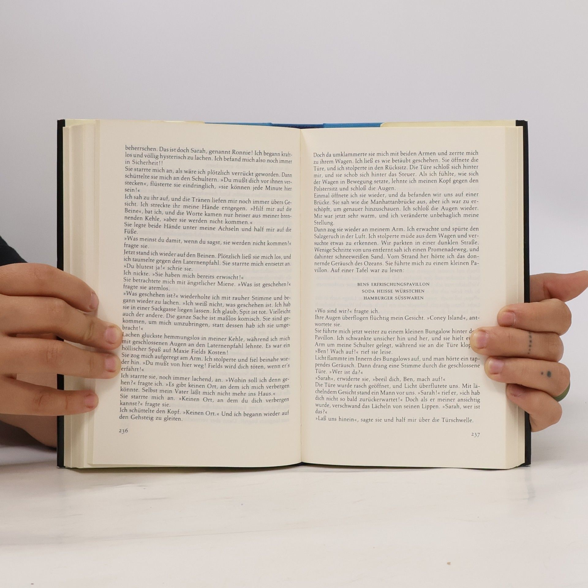 Harold Robbins Die Gnadenlosen