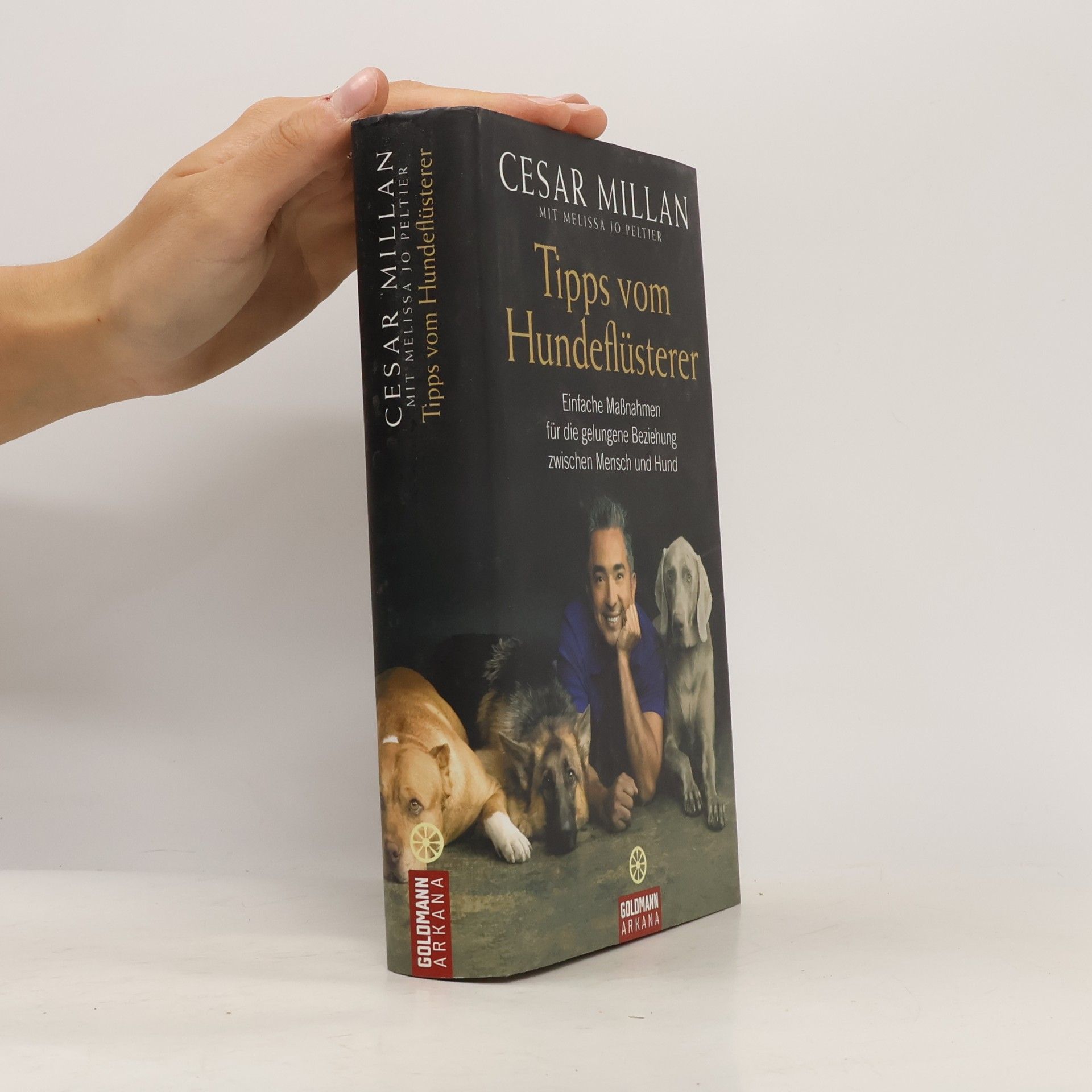 Cesar Millan Tipps vom Hundeflüsterer