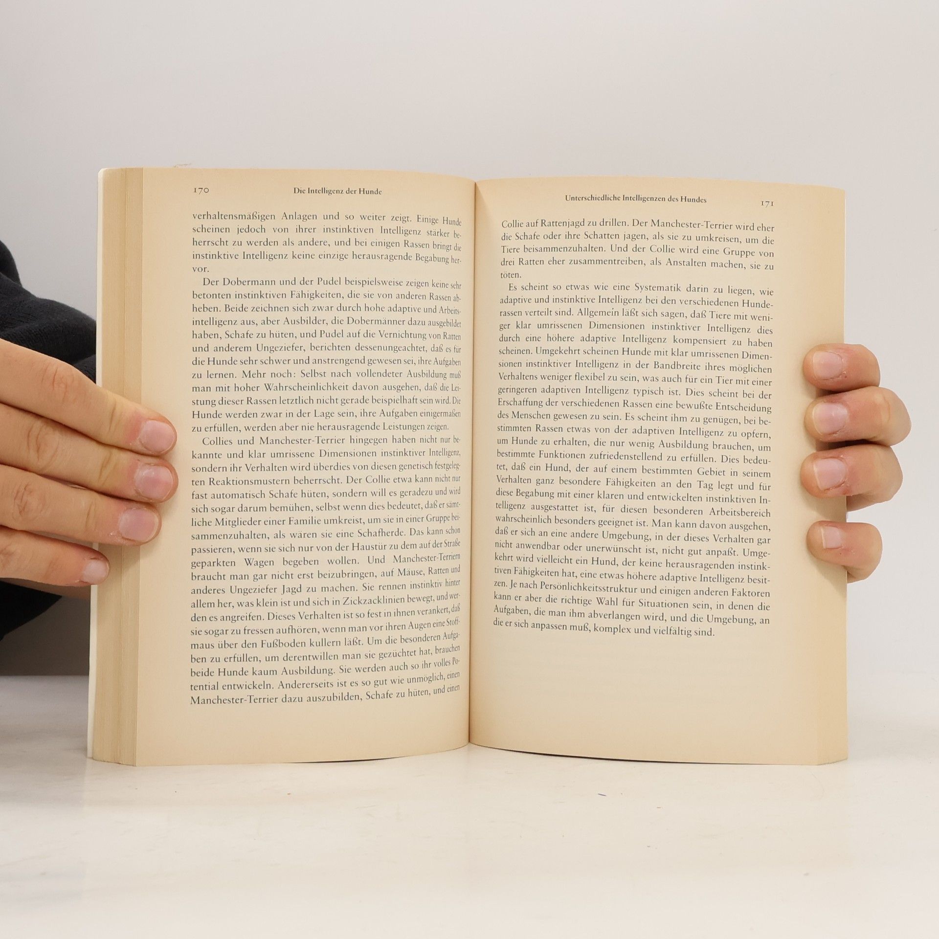 Stanley Coren Die Intelligenz der Hunde