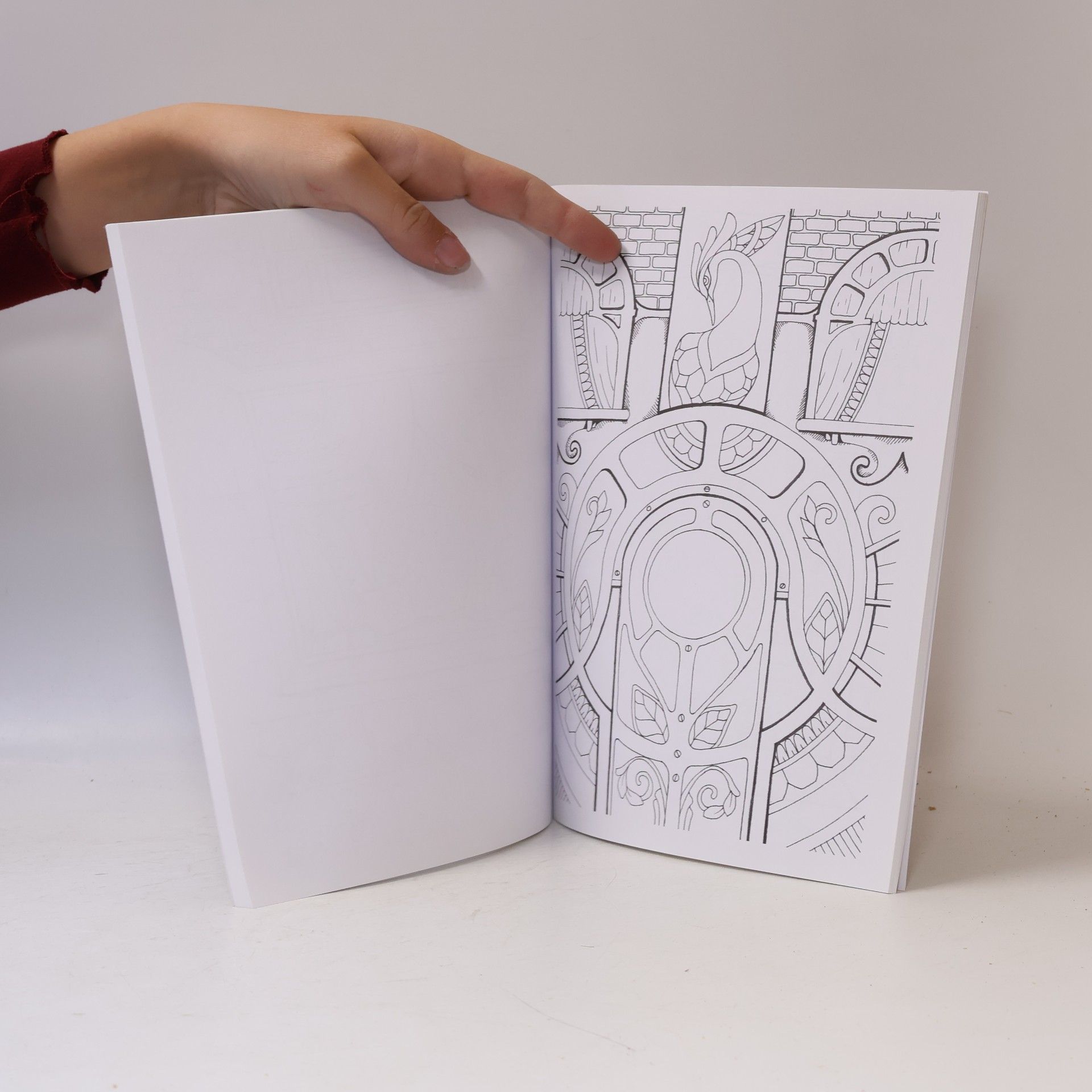 Tatiana Bogema (Stolova) Adult Coloring Book