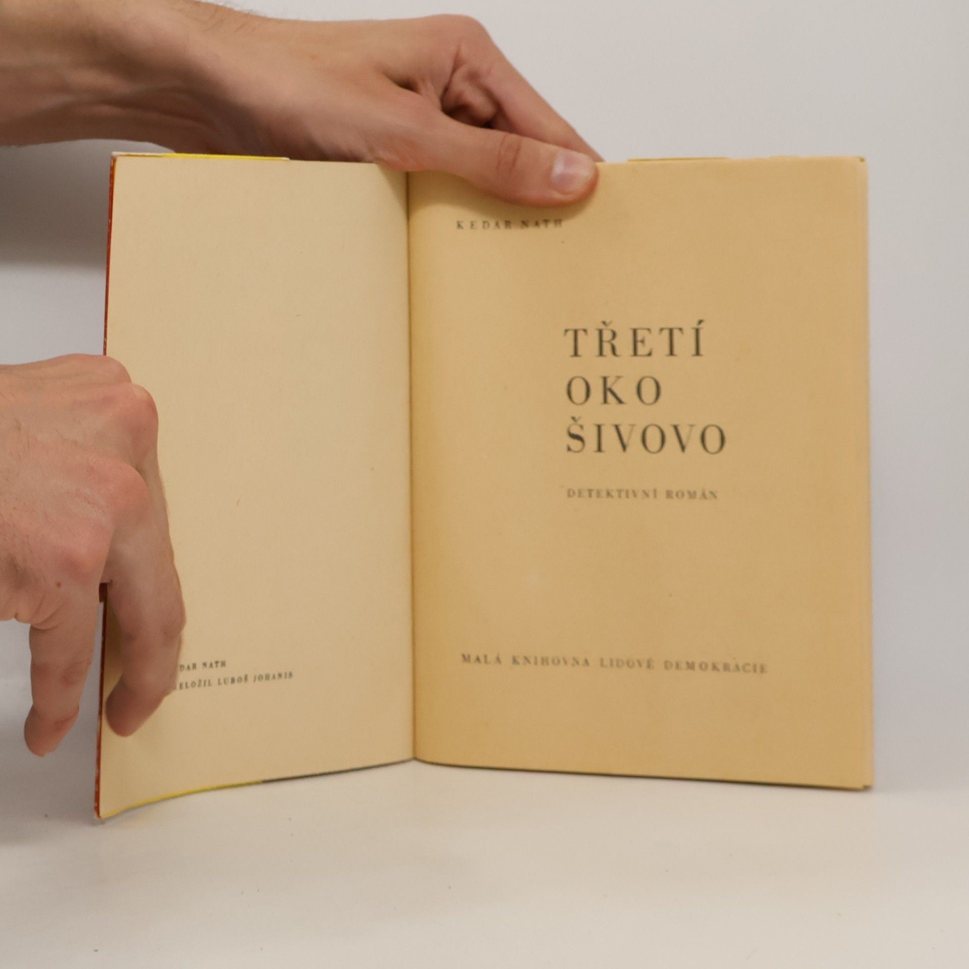 Nath Kedar Třetí oko Šivovo