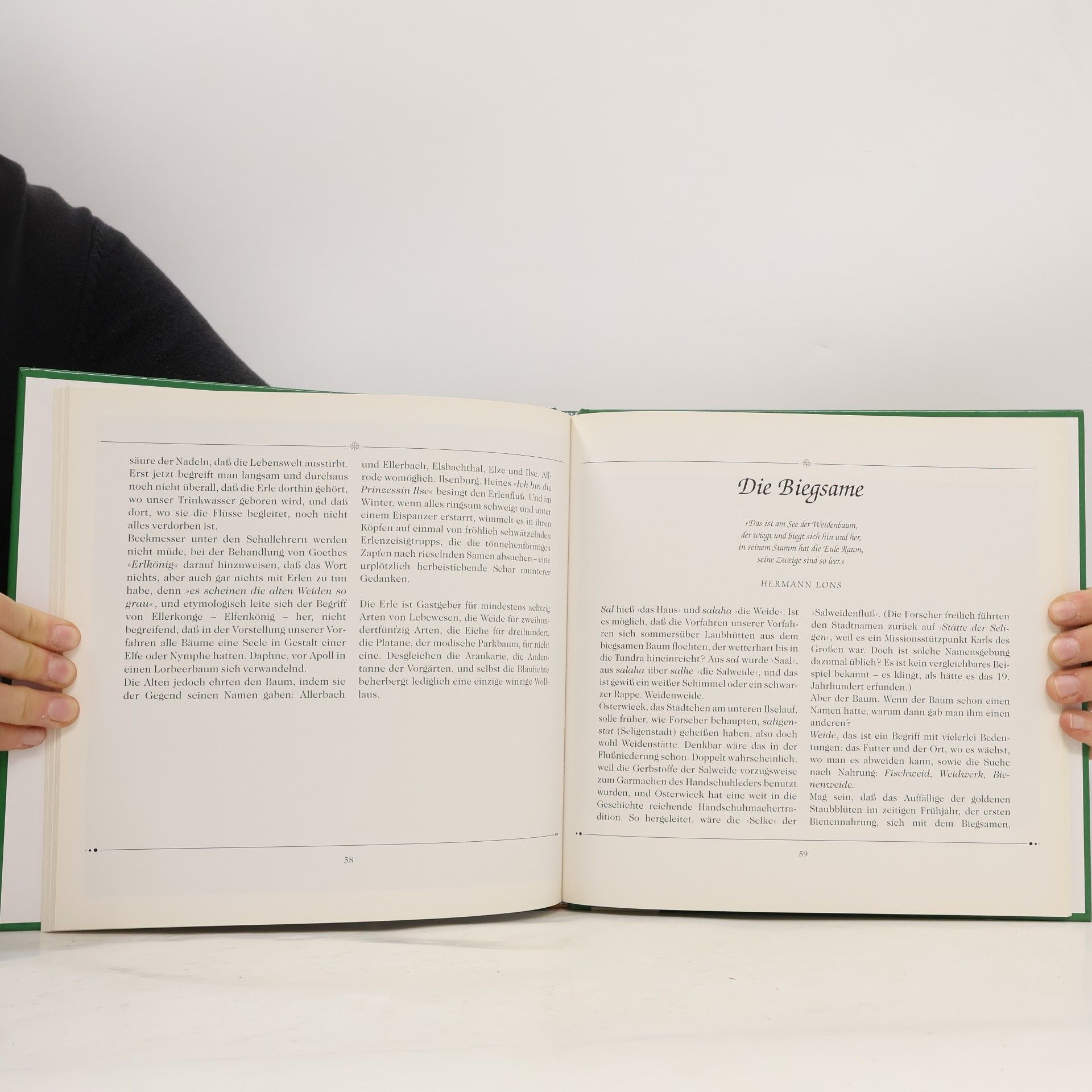 Werner Richner Das Buch der Bäume
