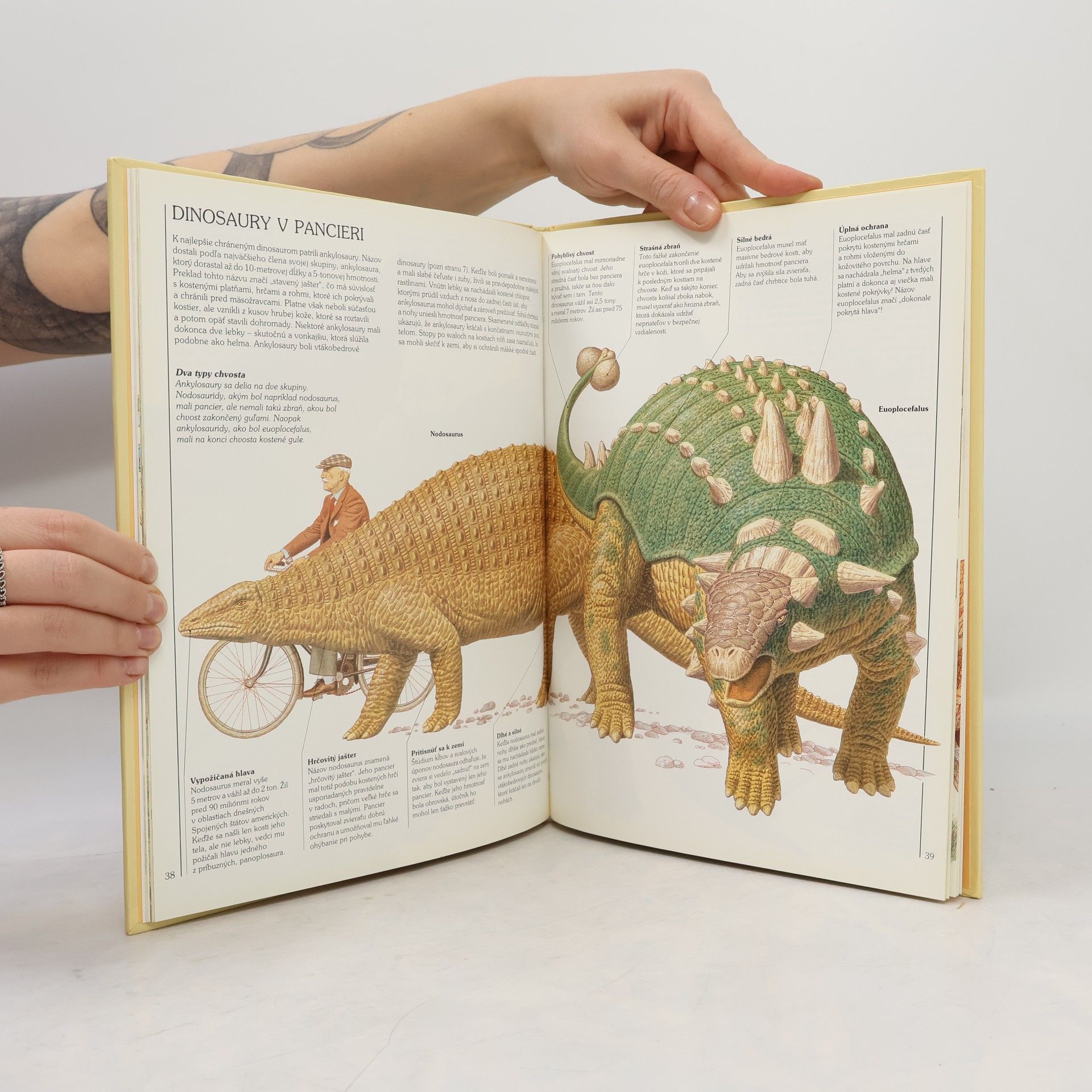 Steve Parker Ako žili dinosaury