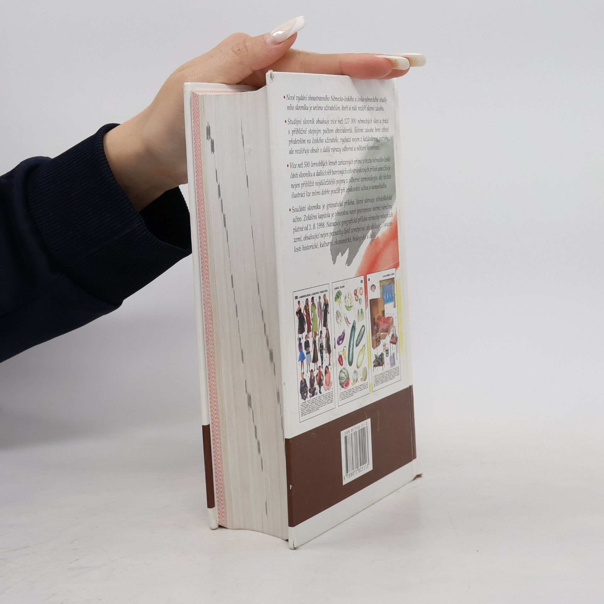 Autorenkollektiv Německo-český, česko-německý studijní slovník