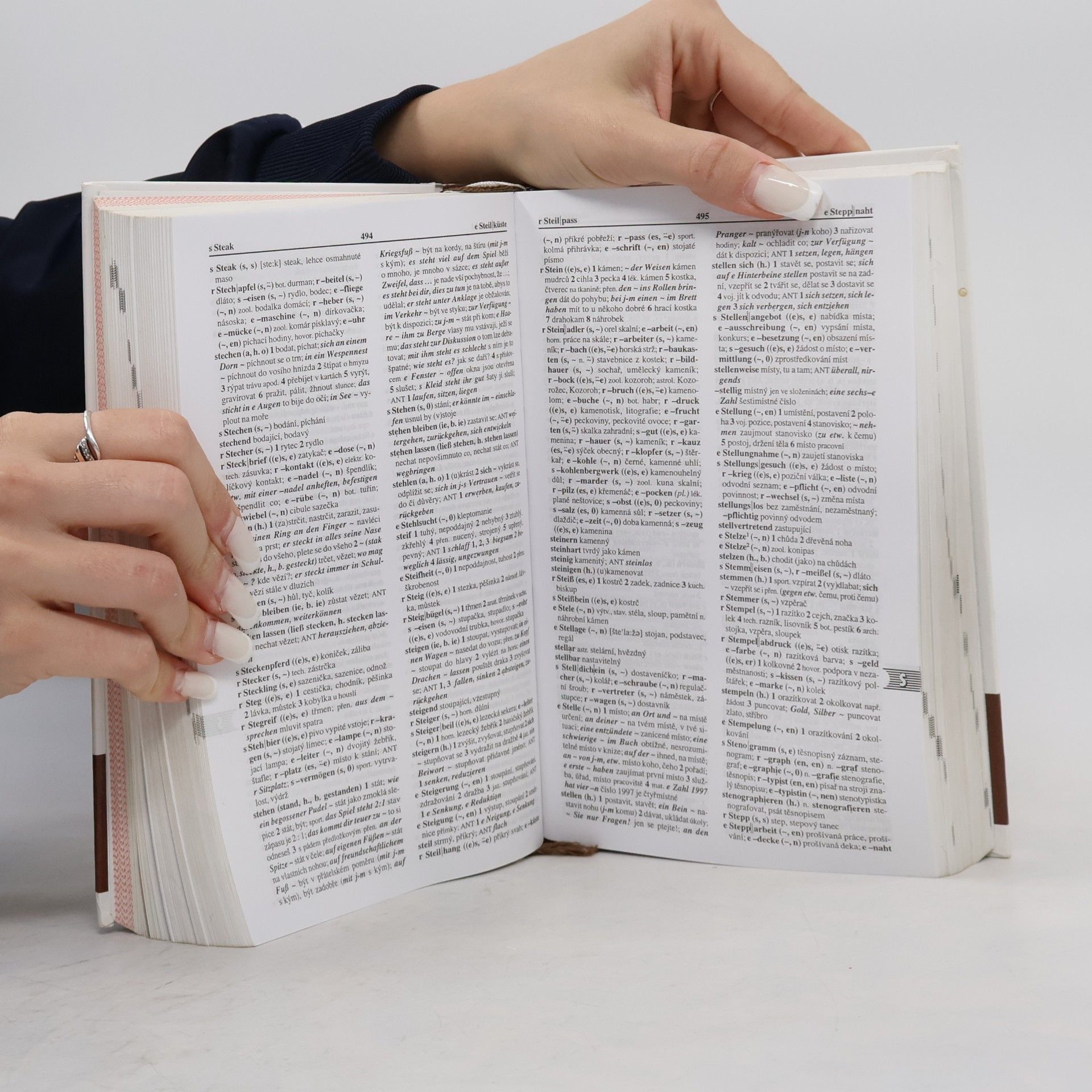 Autorenkollektiv Německo-český, česko-německý studijní slovník