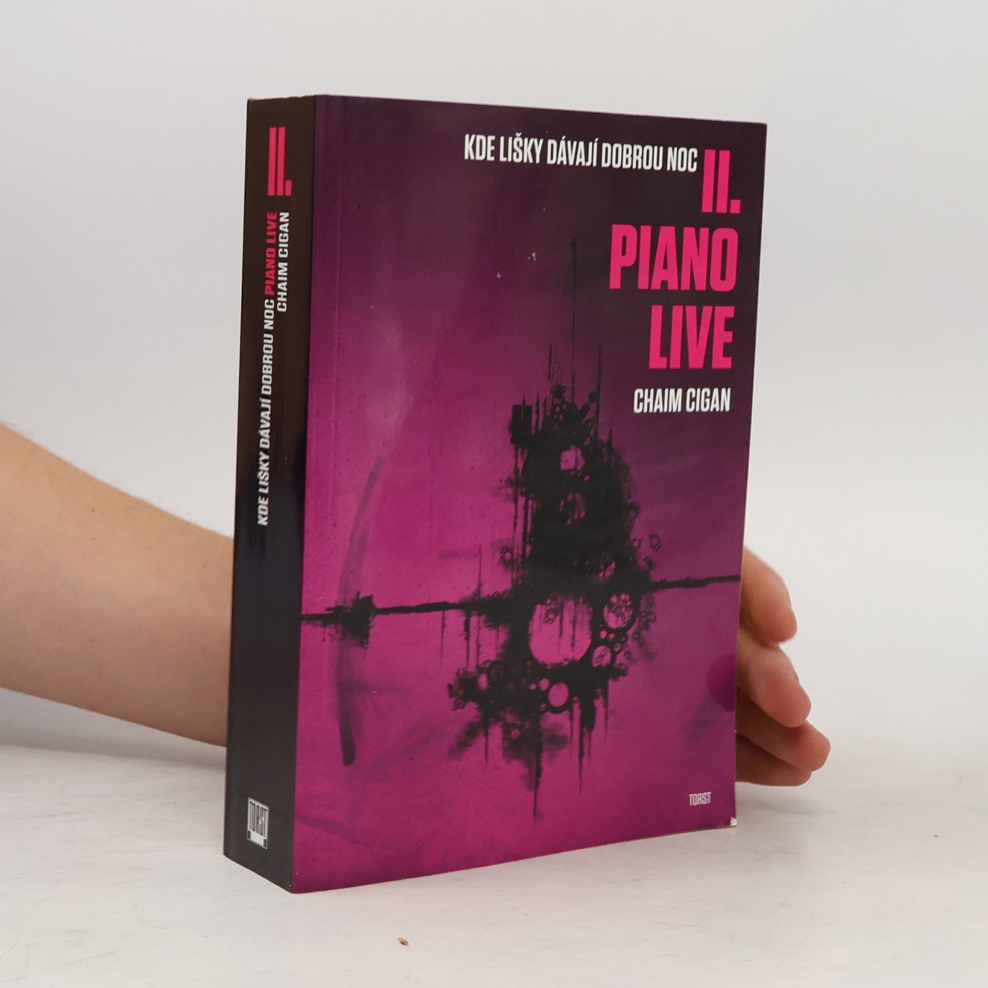 Karol Sidon Kde lišky dávají dobrou noc II. Piano live