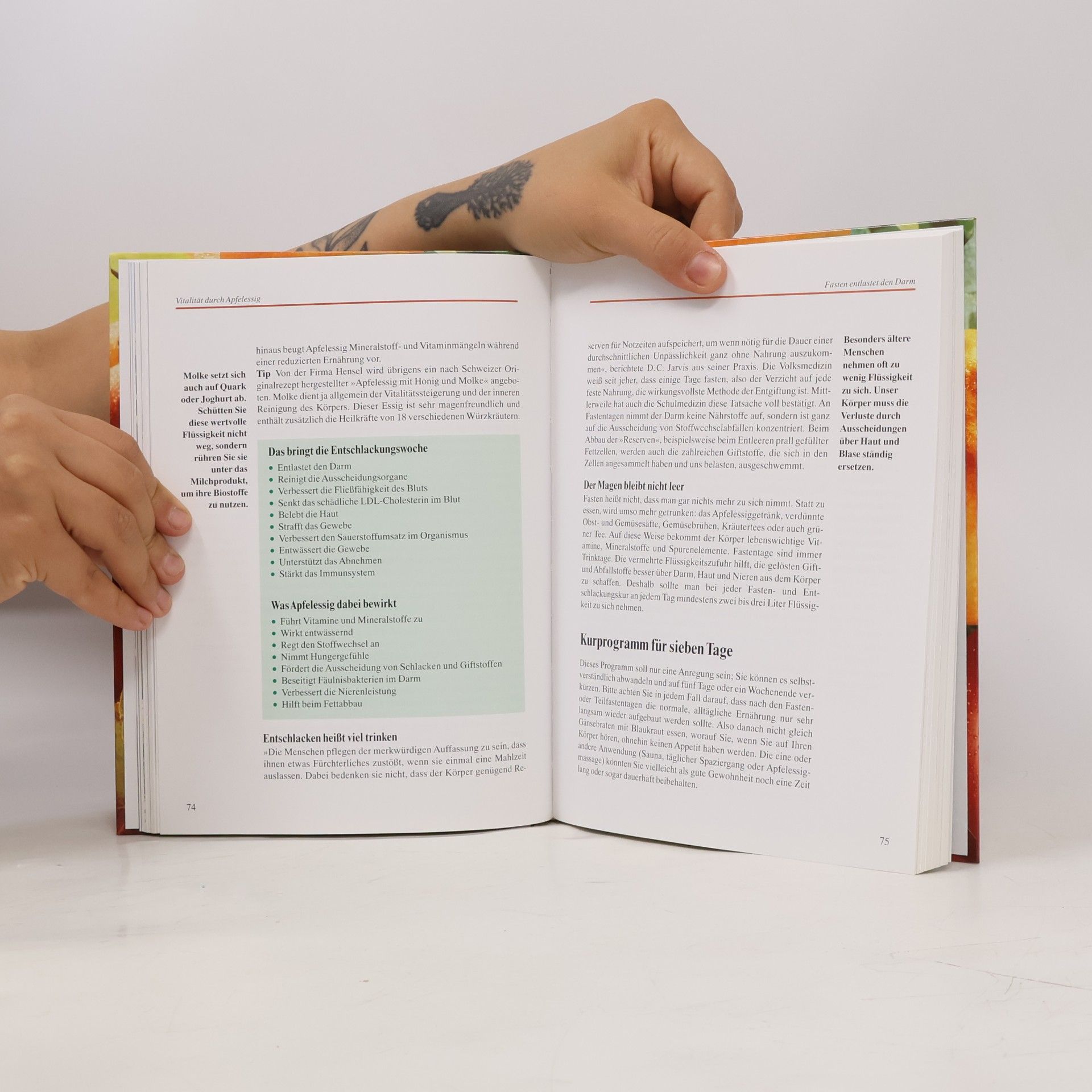 Margot Hellmiß Das grosse Praxisbuch Apfelessig