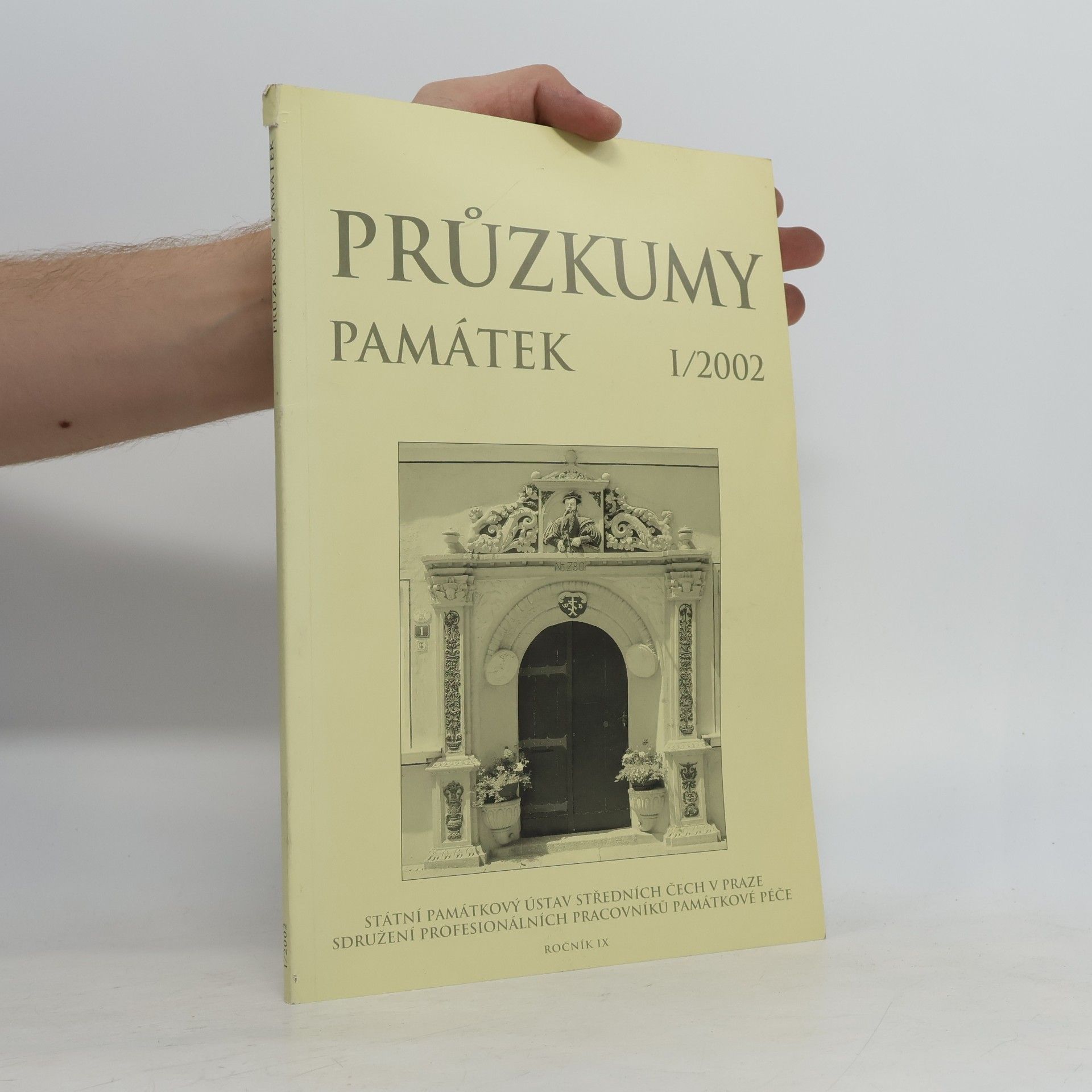 Kolektiv autorů Průzkumy památek I/2002
