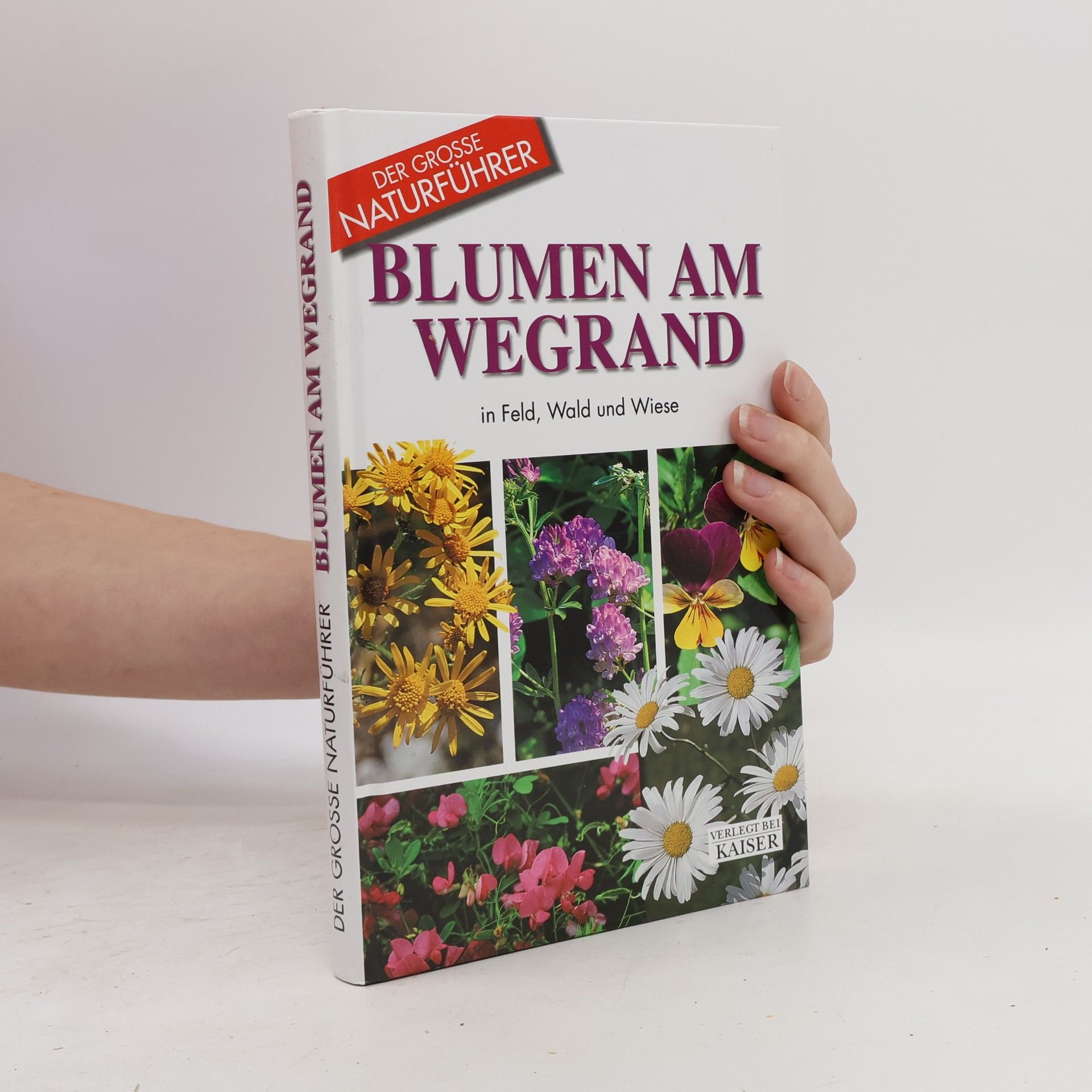 Blumen am Wegrand