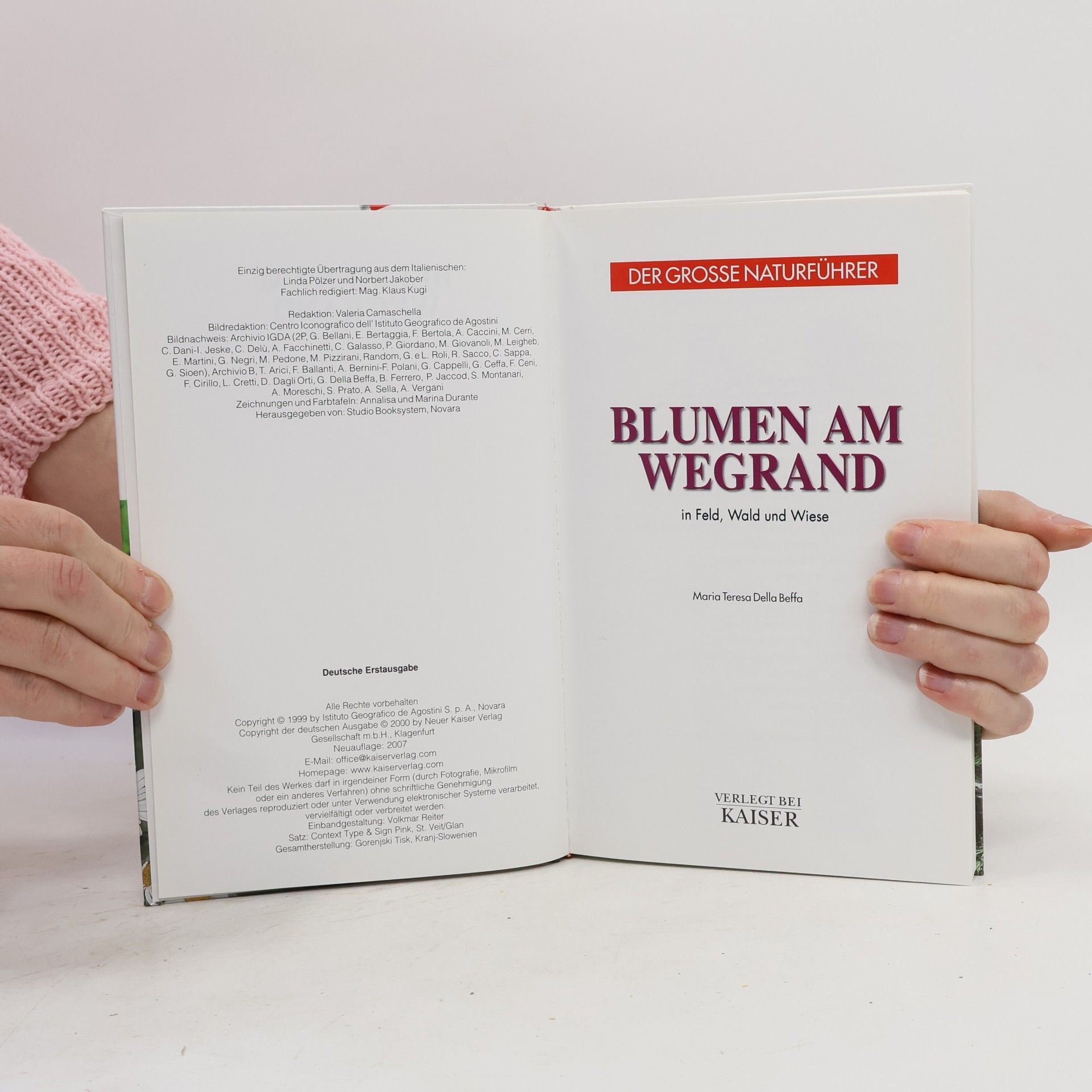 Maria Teresa Della Beffa Blumen am Wegrand
