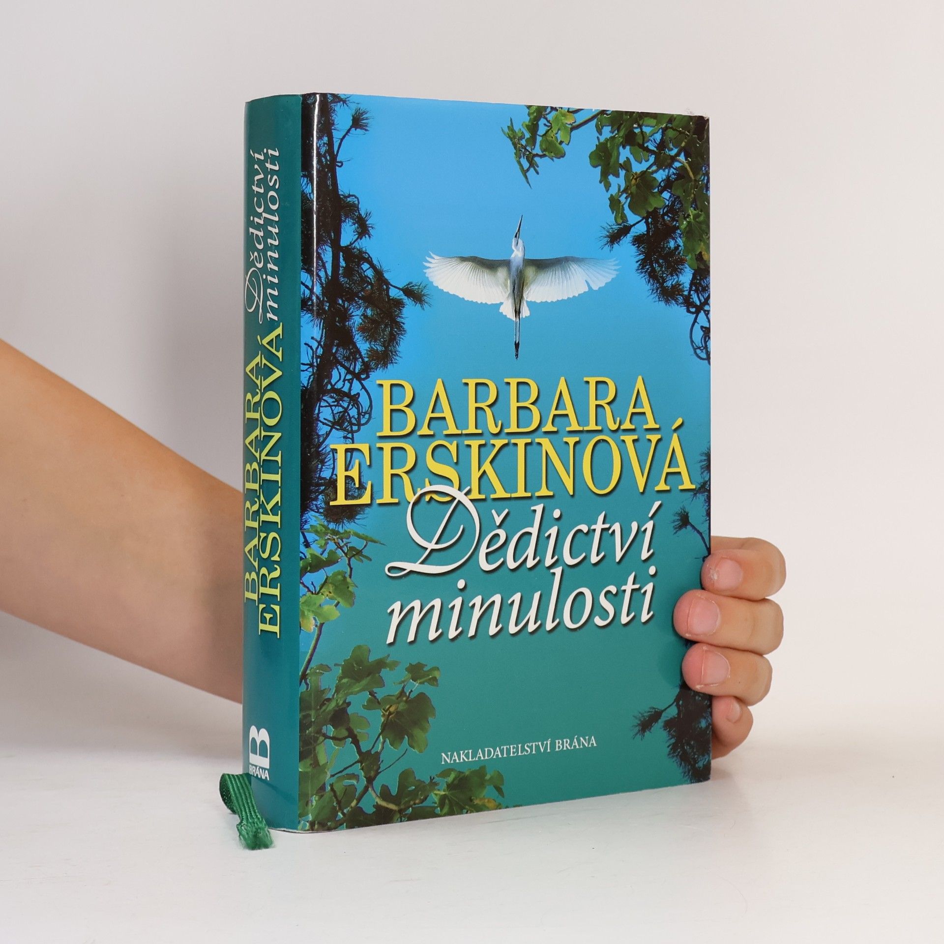 Barbara Erskine Dědictví minulosti