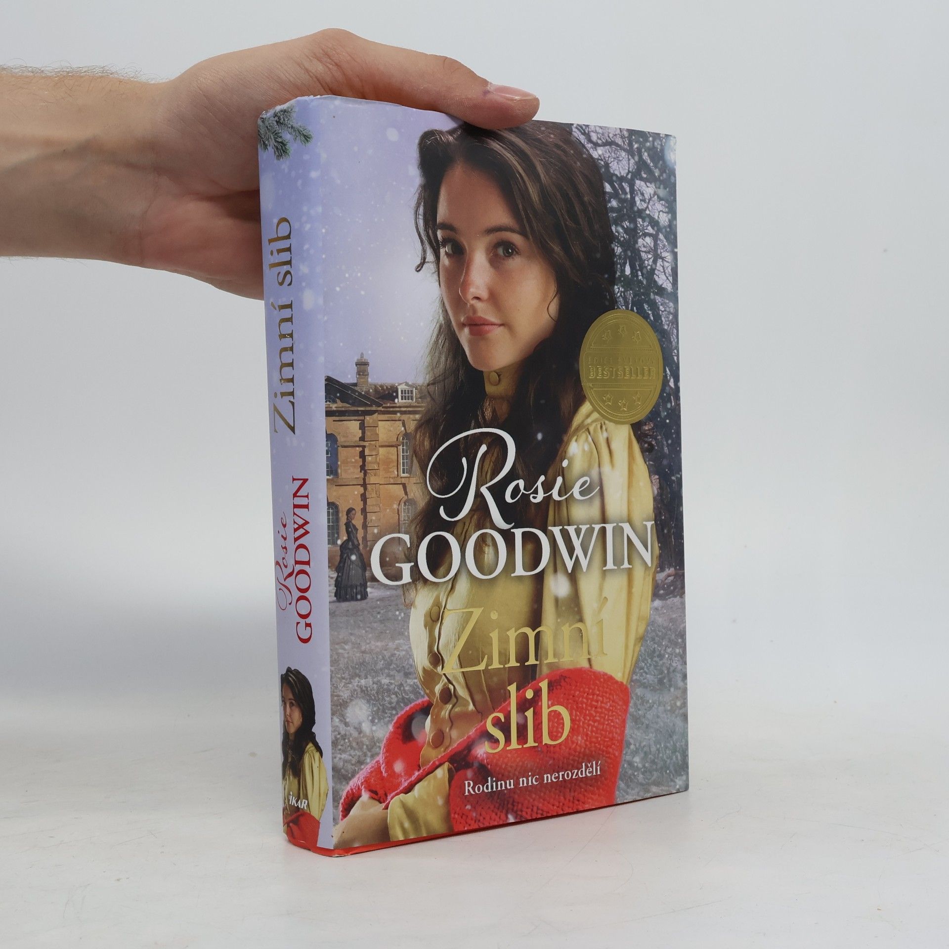 Rosie Goodwin Zimní slib