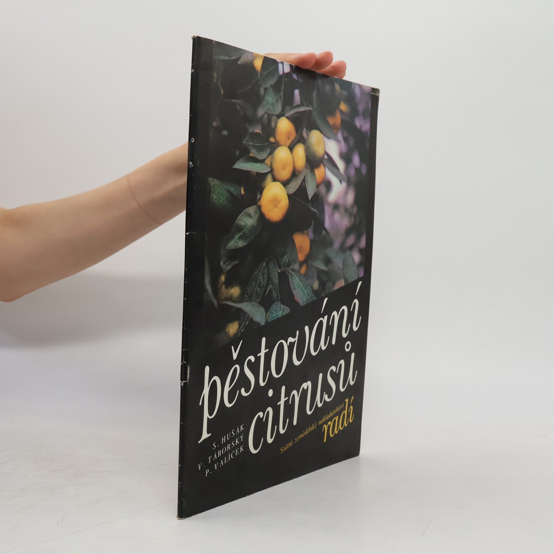 Stanislav Hušák Pěstování citrusů