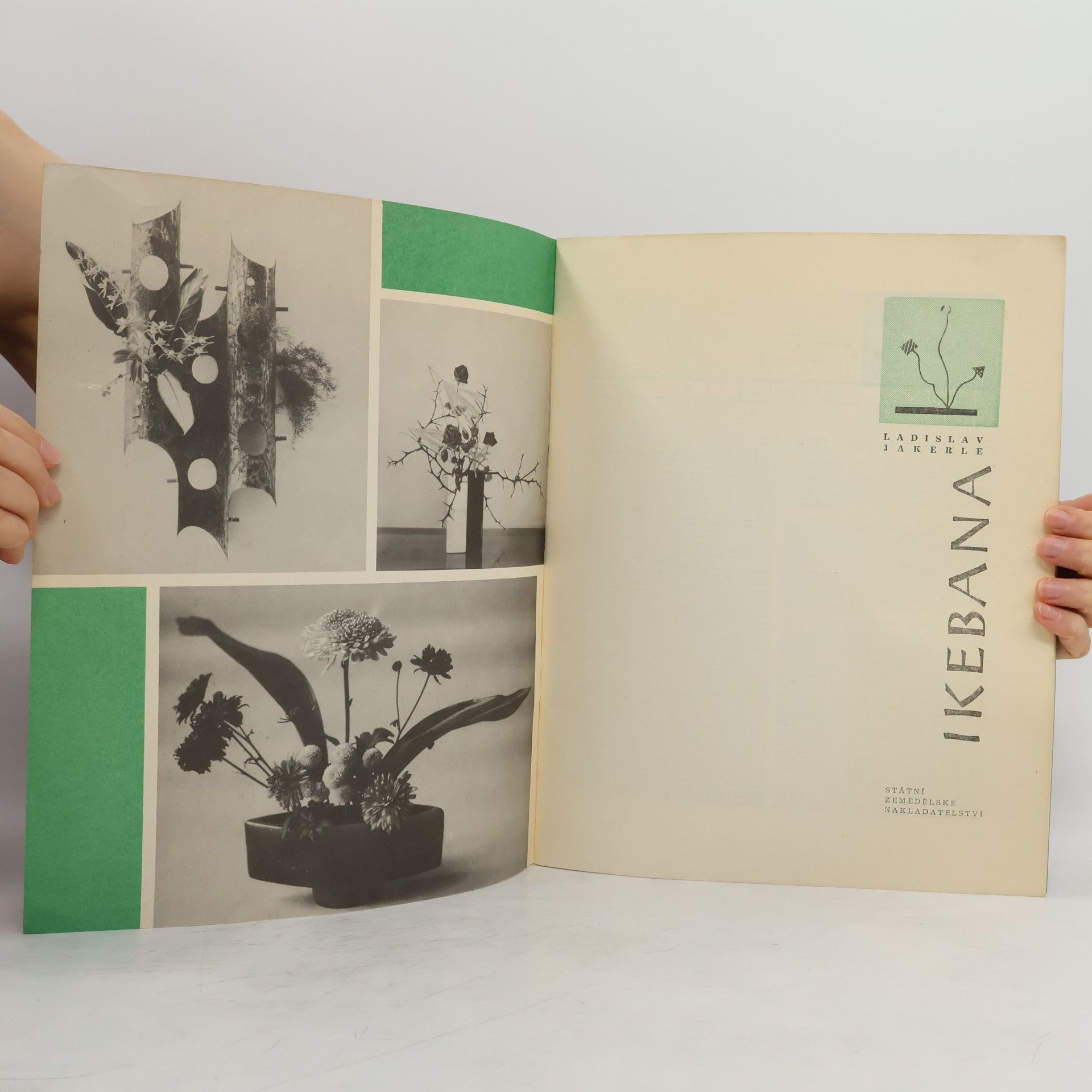 Ladislav Jakerle Ikebana