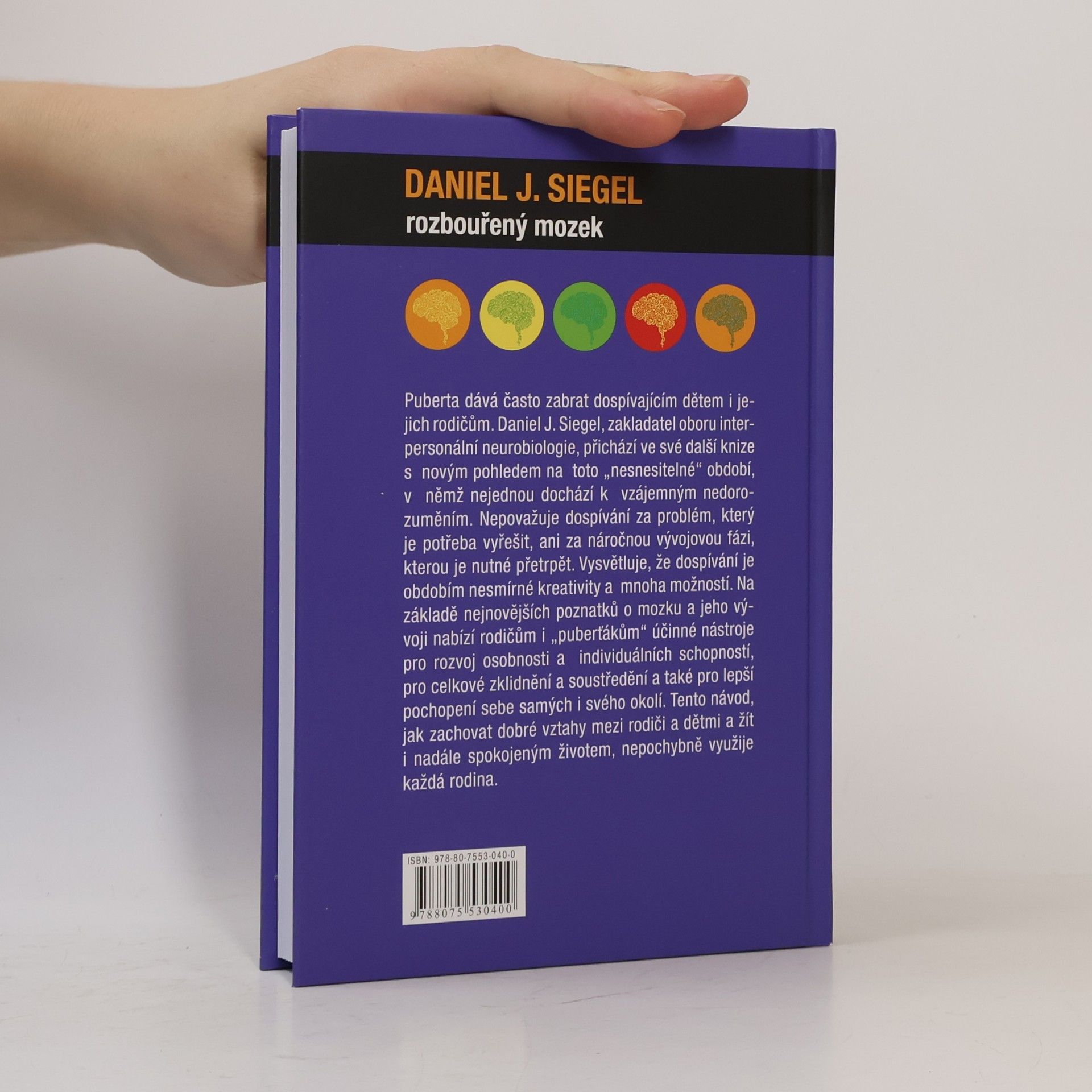 Daniel J. Siegel Rozbouřený mozek : dospívání, teenageři a jejich výchova