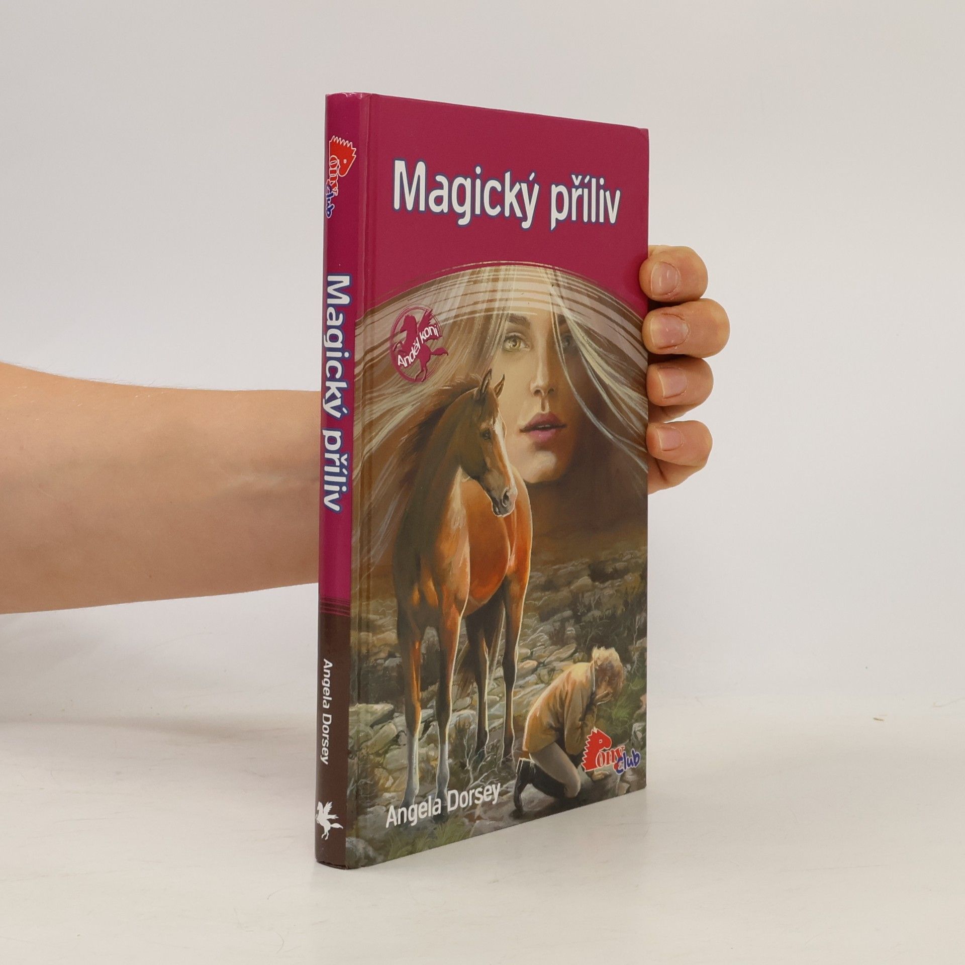 Angela Dorsey Magický příliv