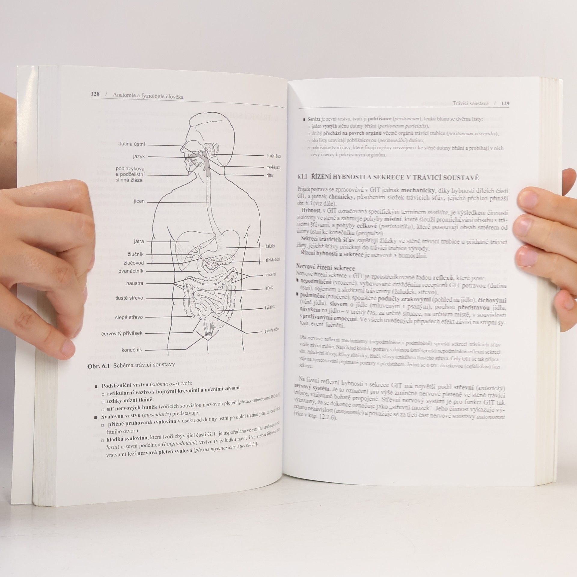 Alena Merkunová Anatomie a fyziologie člověka