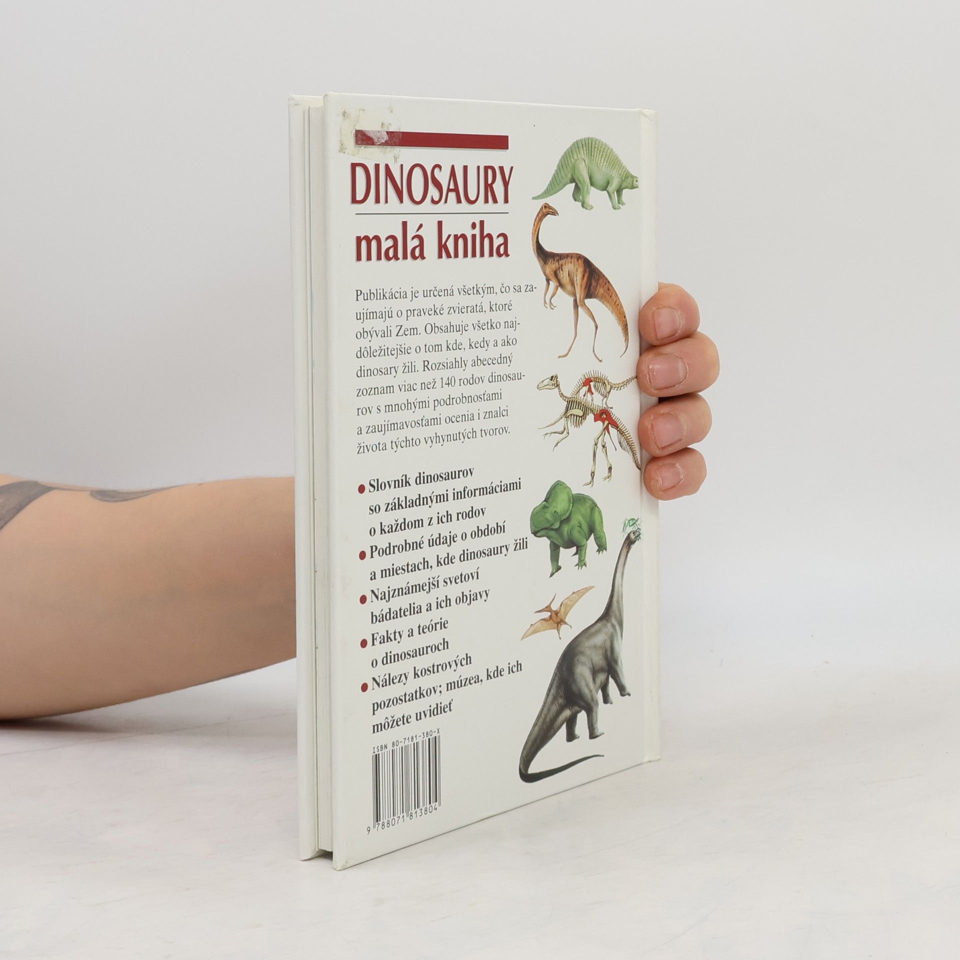 Michael J. Benton Dinosaury - malá kniha