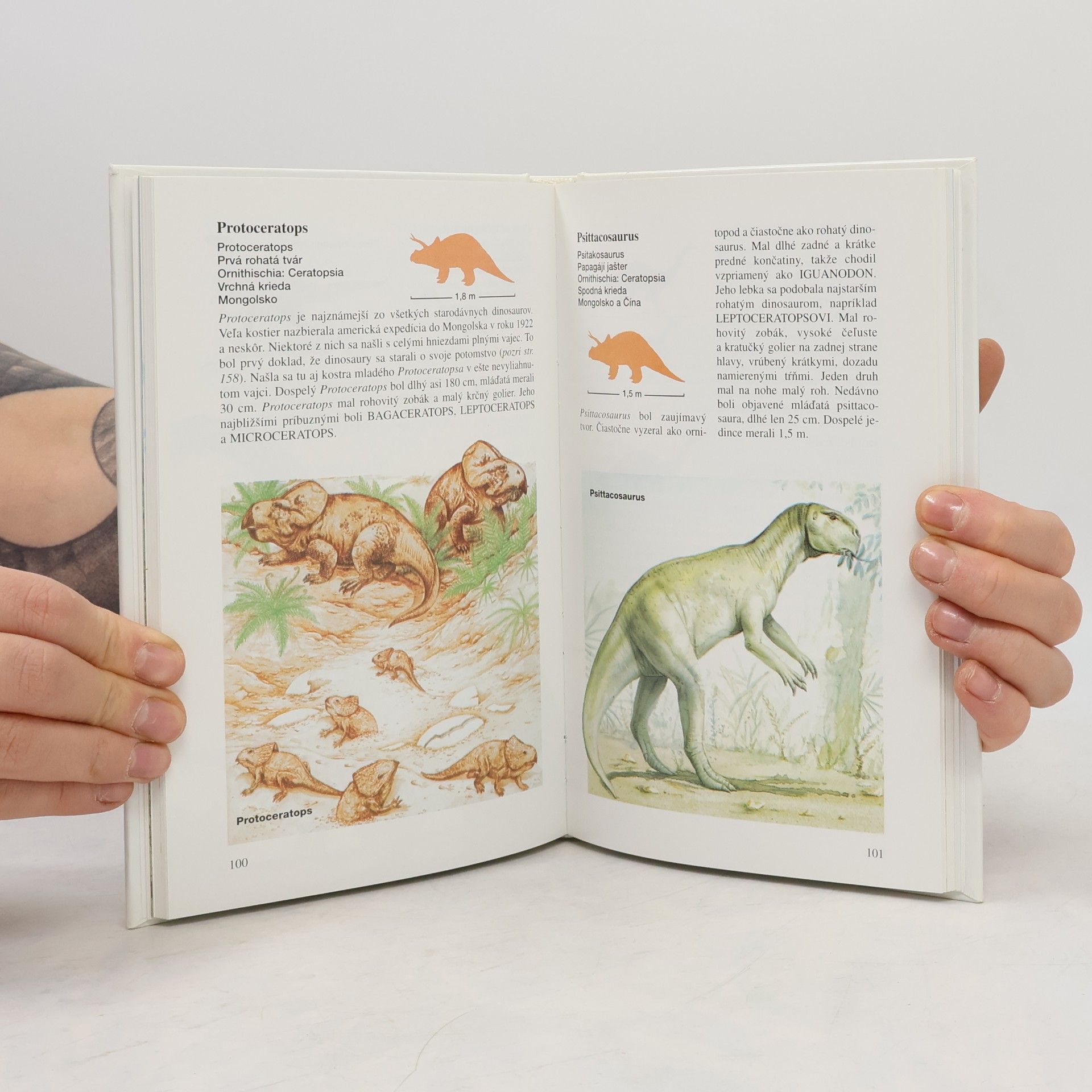 Michael J. Benton Dinosaury - malá kniha
