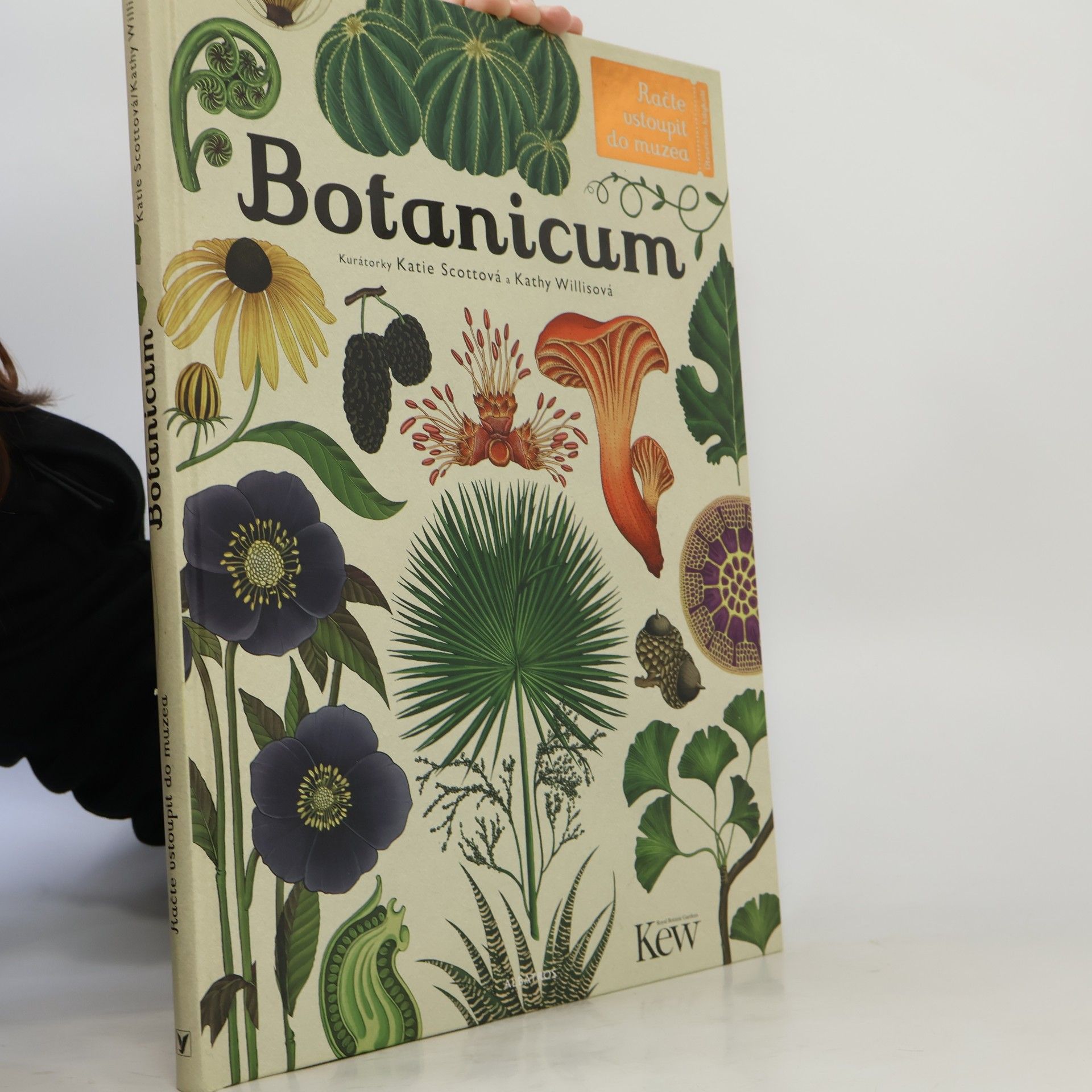 Kathy Willis Botanicum