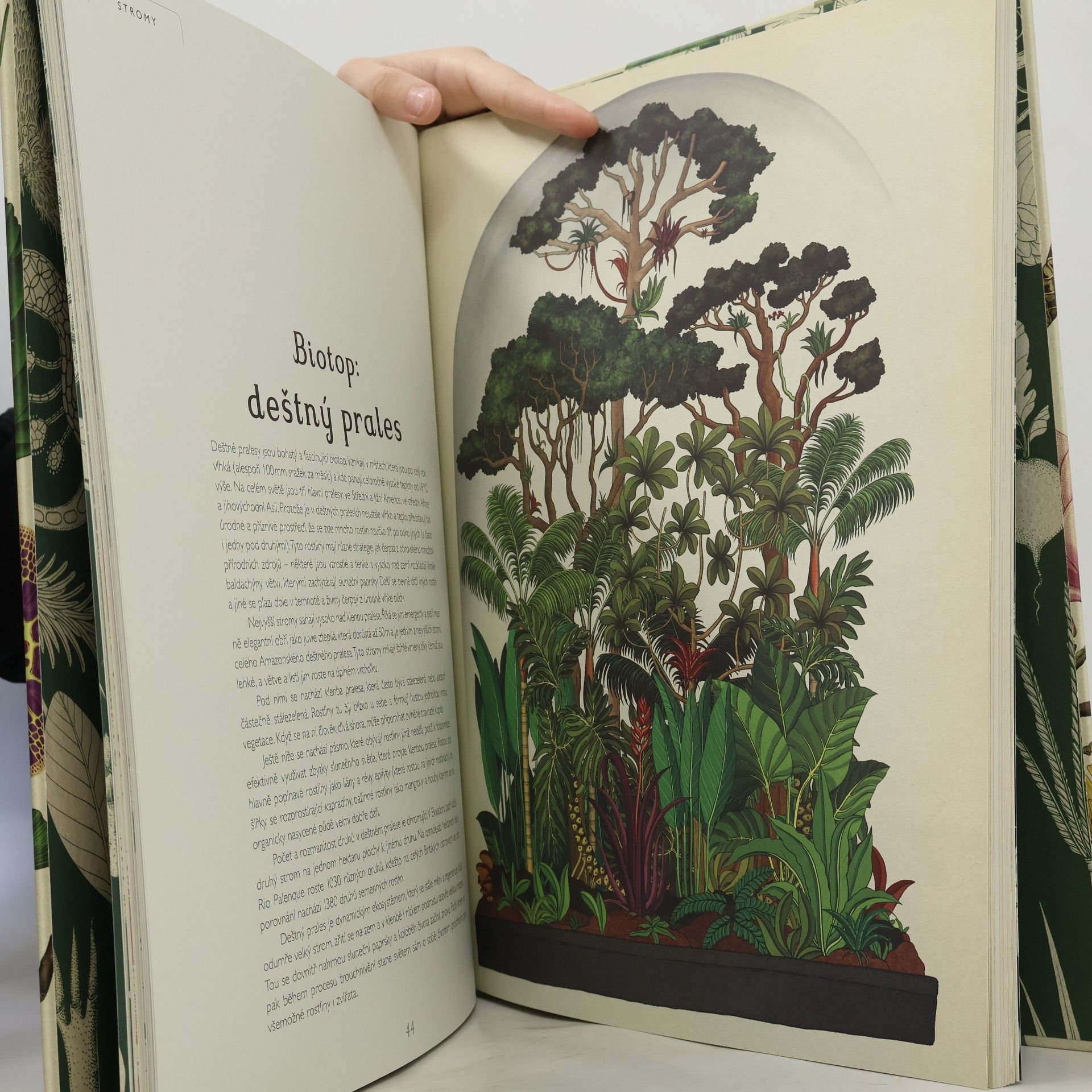 Katie Scott Botanicum