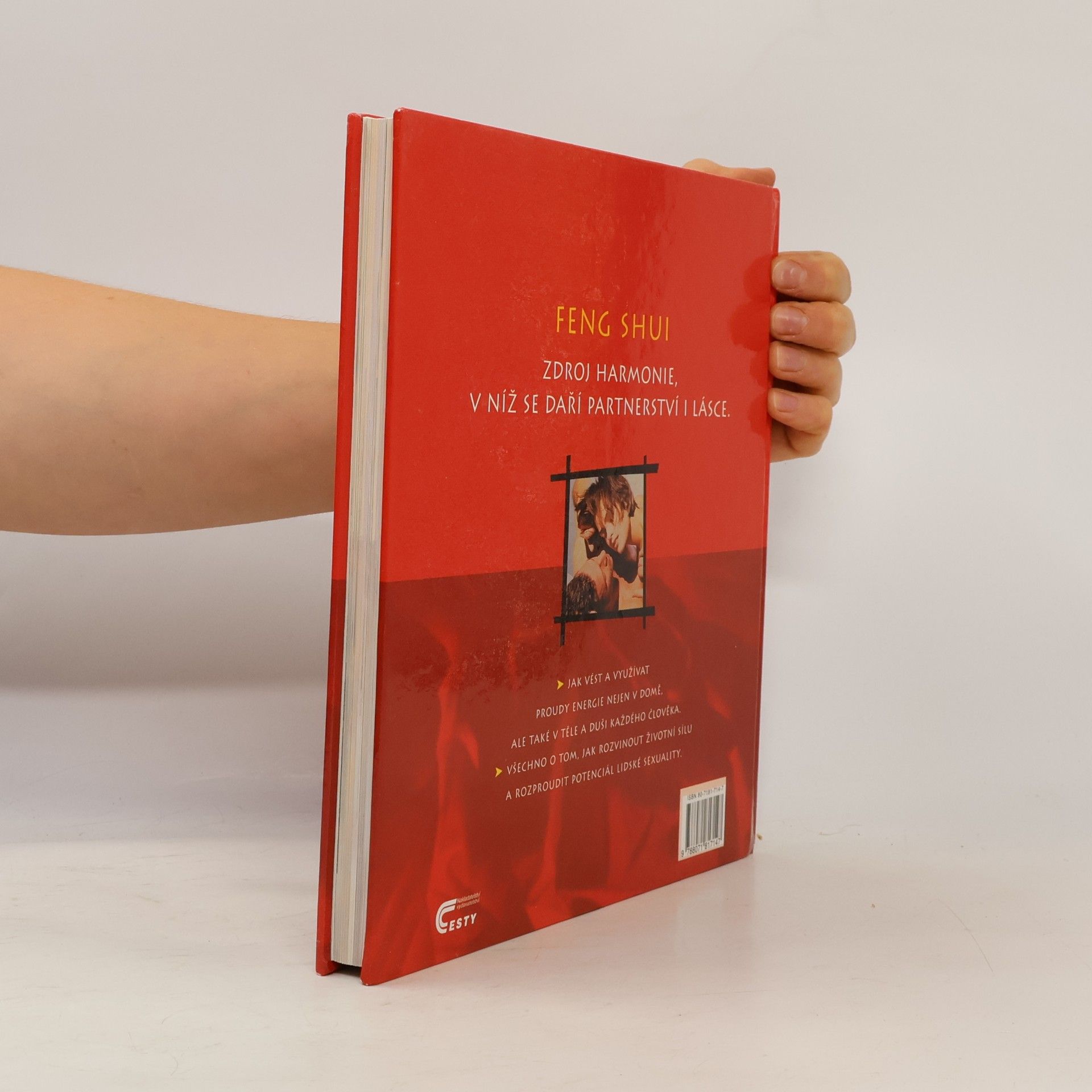 Günther Sator Feng shui. Harmonie v partnerství a lásce