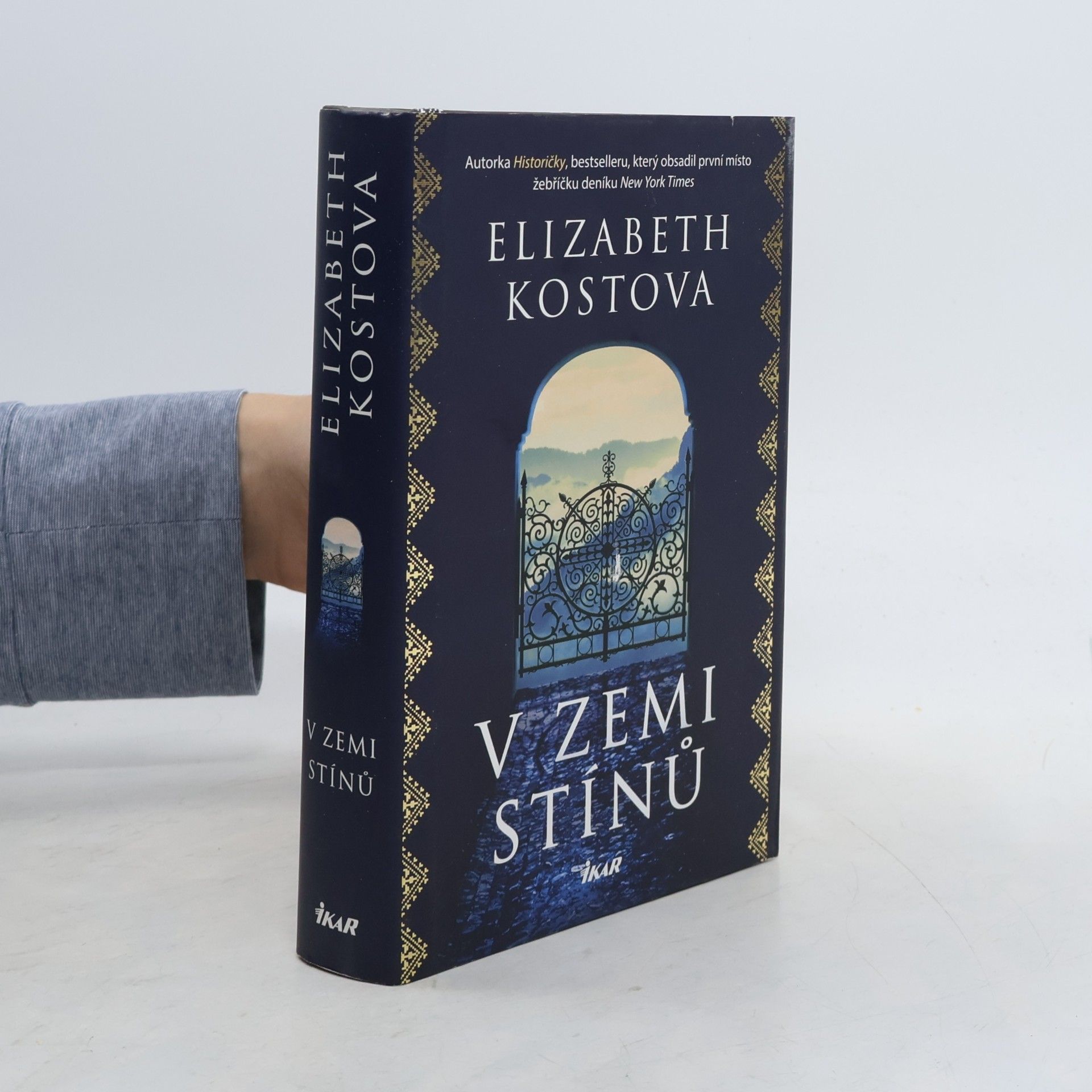Elizabeth Kostova V zemi stínů