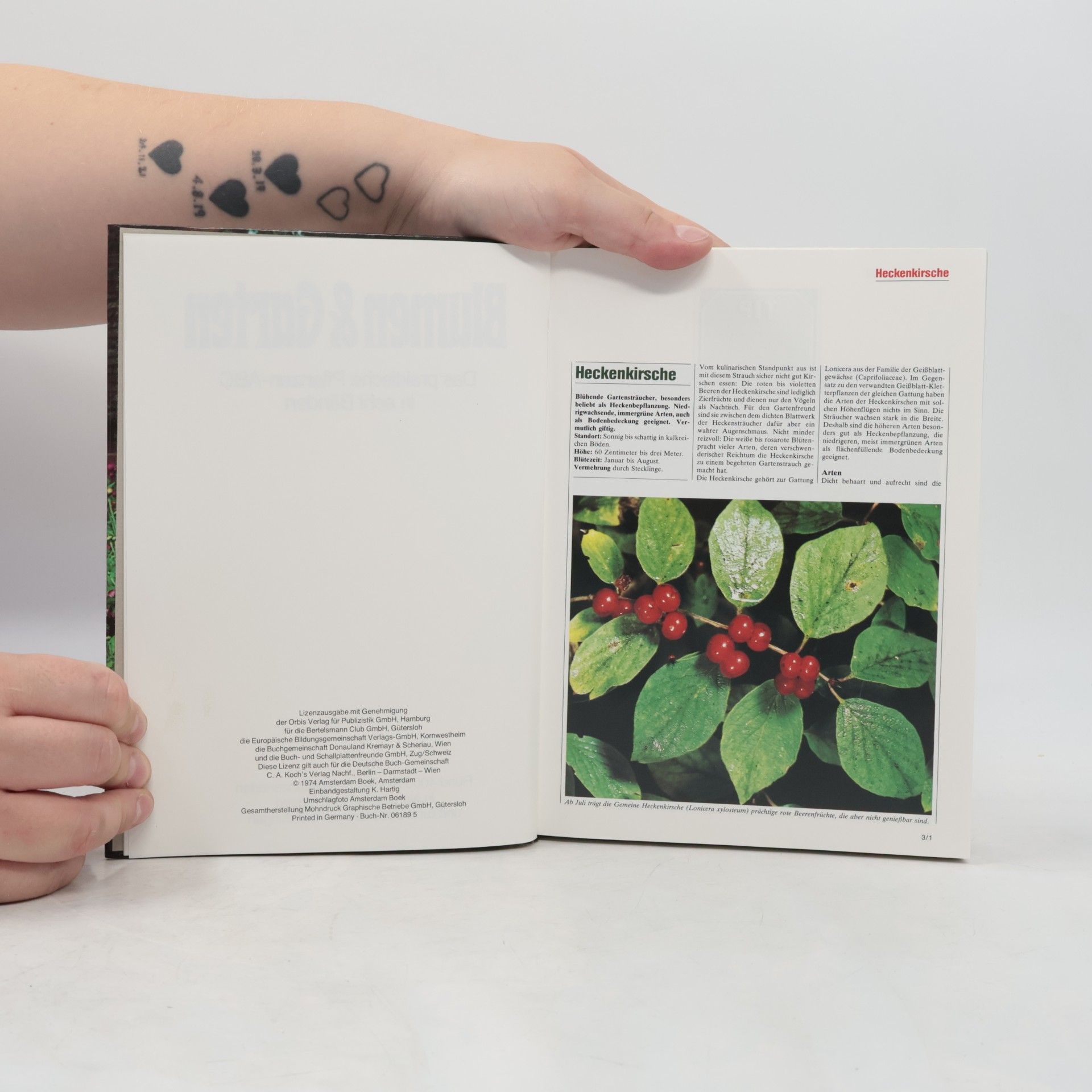 Collectif d'auteurs Blumen & Garten 3