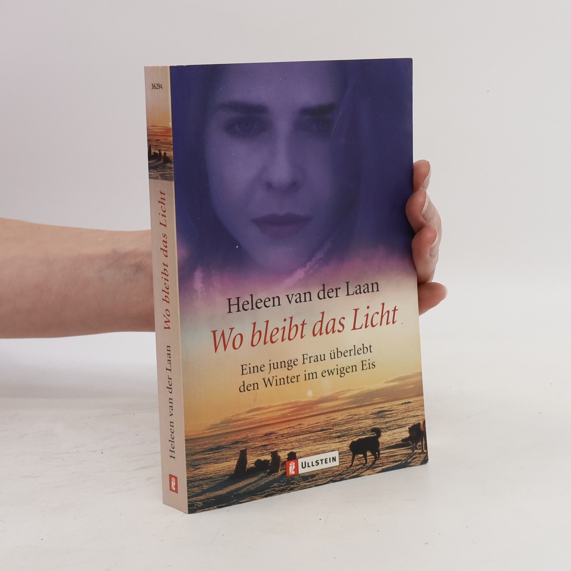 Heleen van der Laan Wo bleibt das Licht